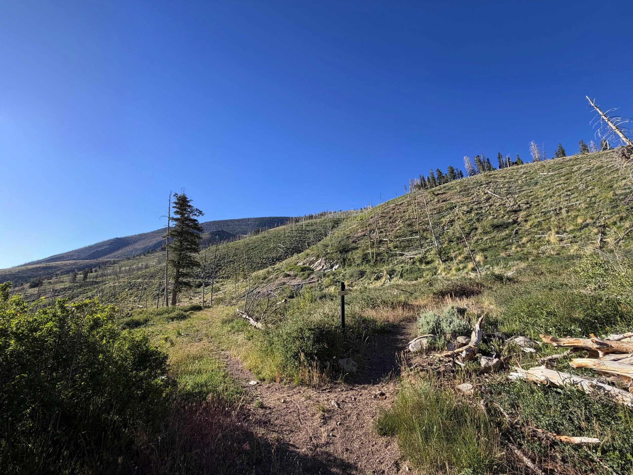 Upper Strawberry Trail Great Basin National Park Nevada