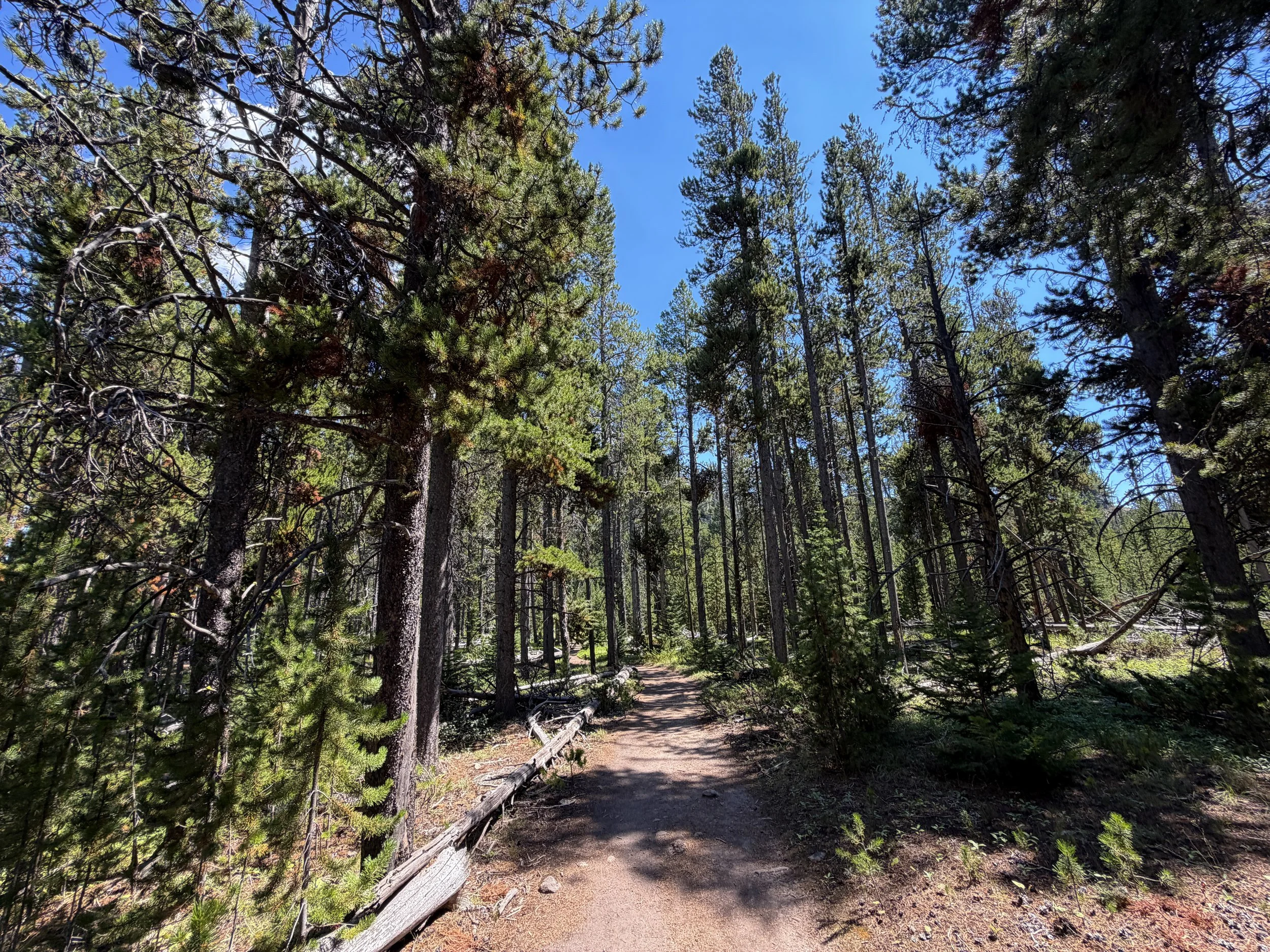 Bunsen Peak Trail Yellowstone National Park Wyoming