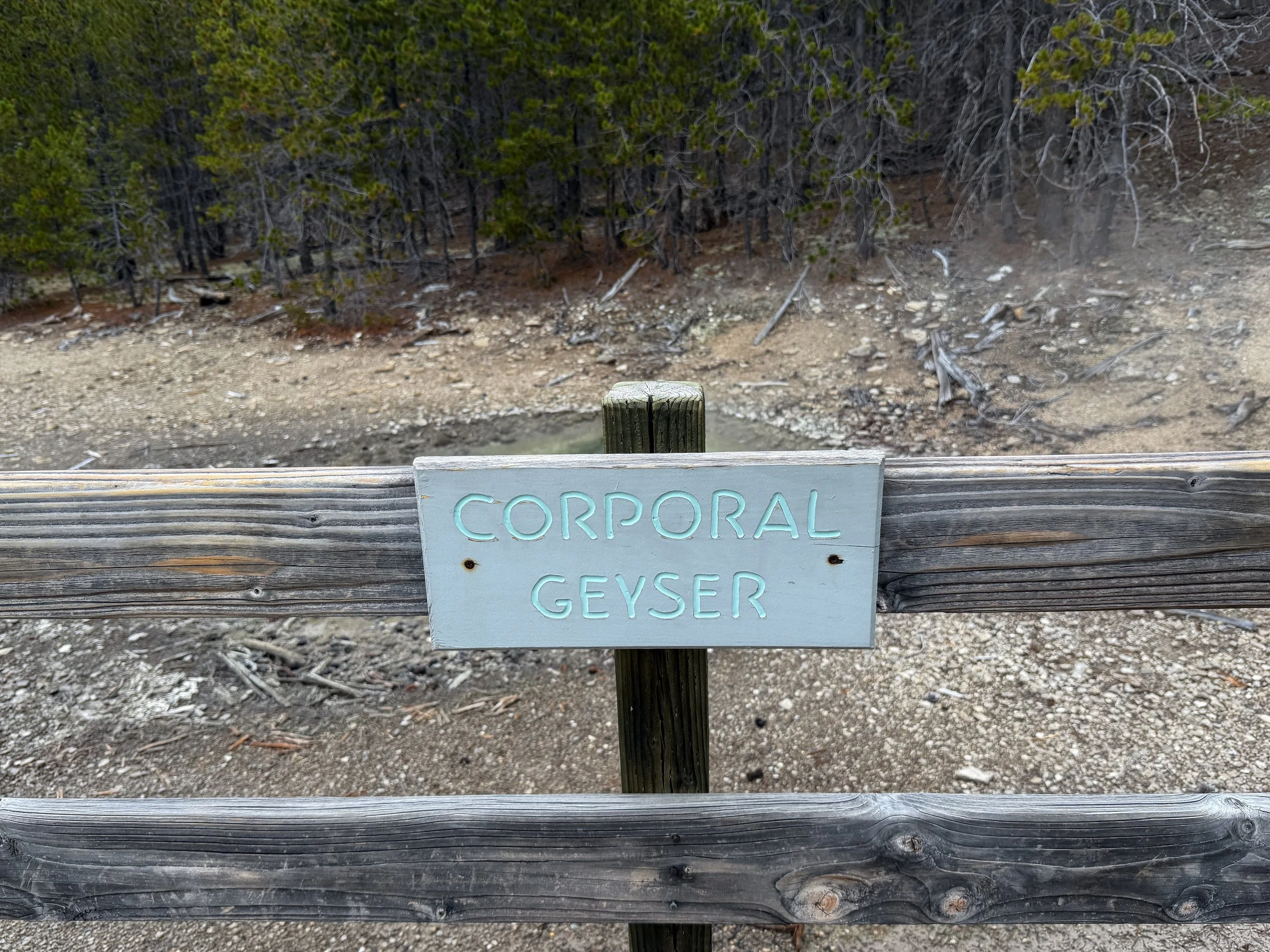 Corporal Geyser Norris Geyser Basin Trail Yellowstone National Park Wyoming