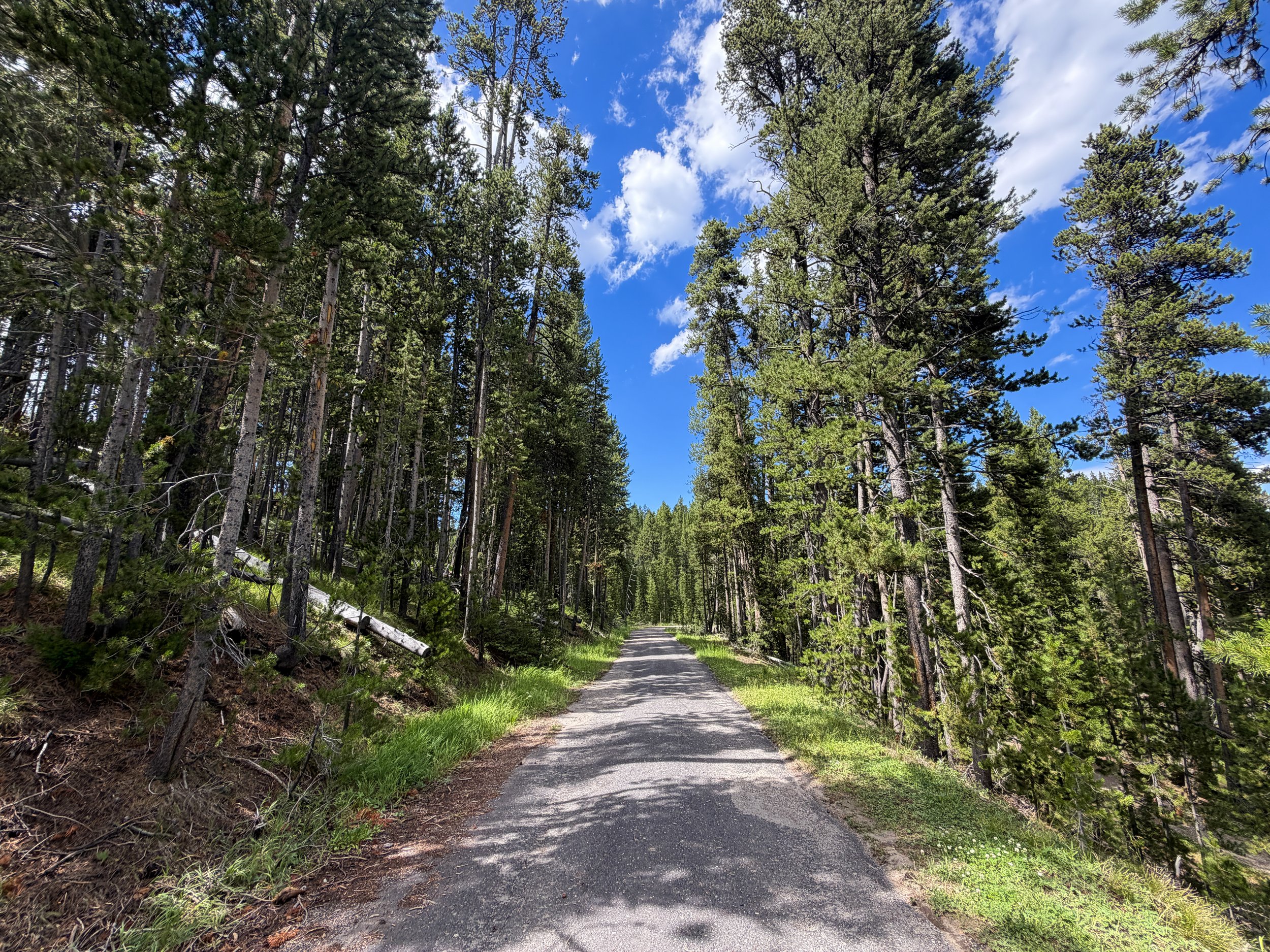 North Rim Trail Yellowstone National Park Wyoming