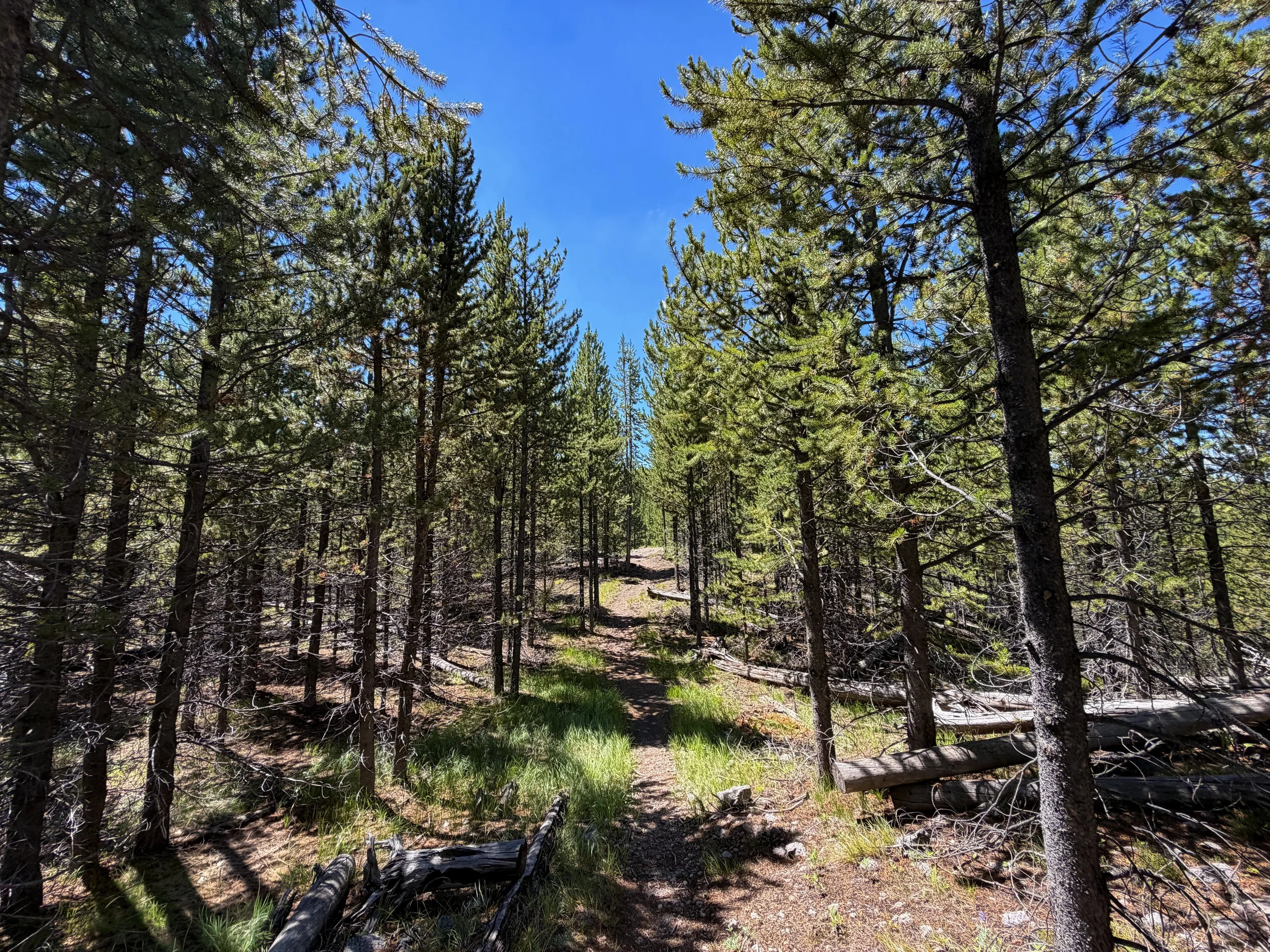 Fern Cascades Trail Yellowstone National Park Wyoming