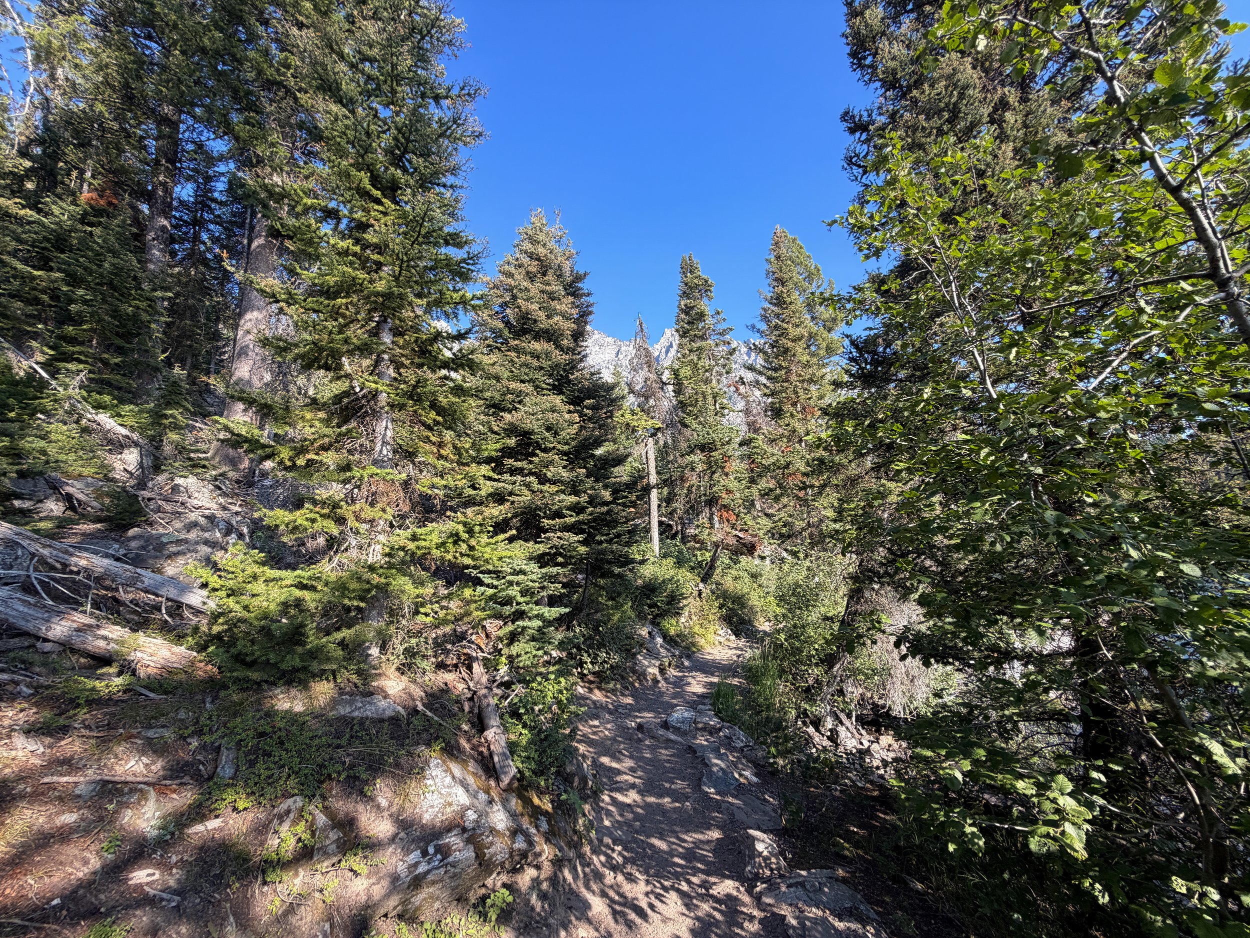 Jenny Lake Trail to Hidden Falls Grand Teton National Park Wyoming