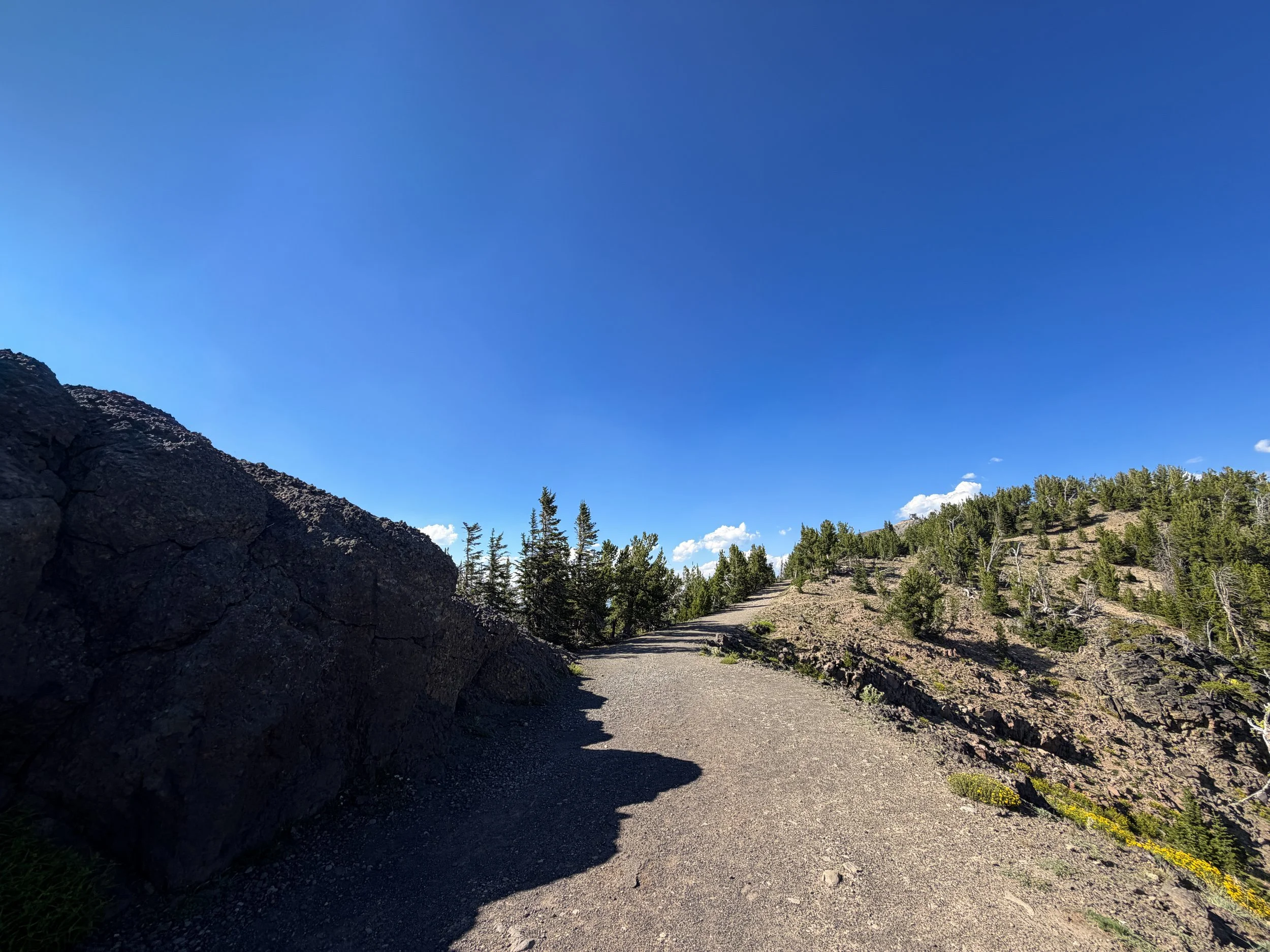 South Mount Washburn Trail Yellowstone National Park Wyoming