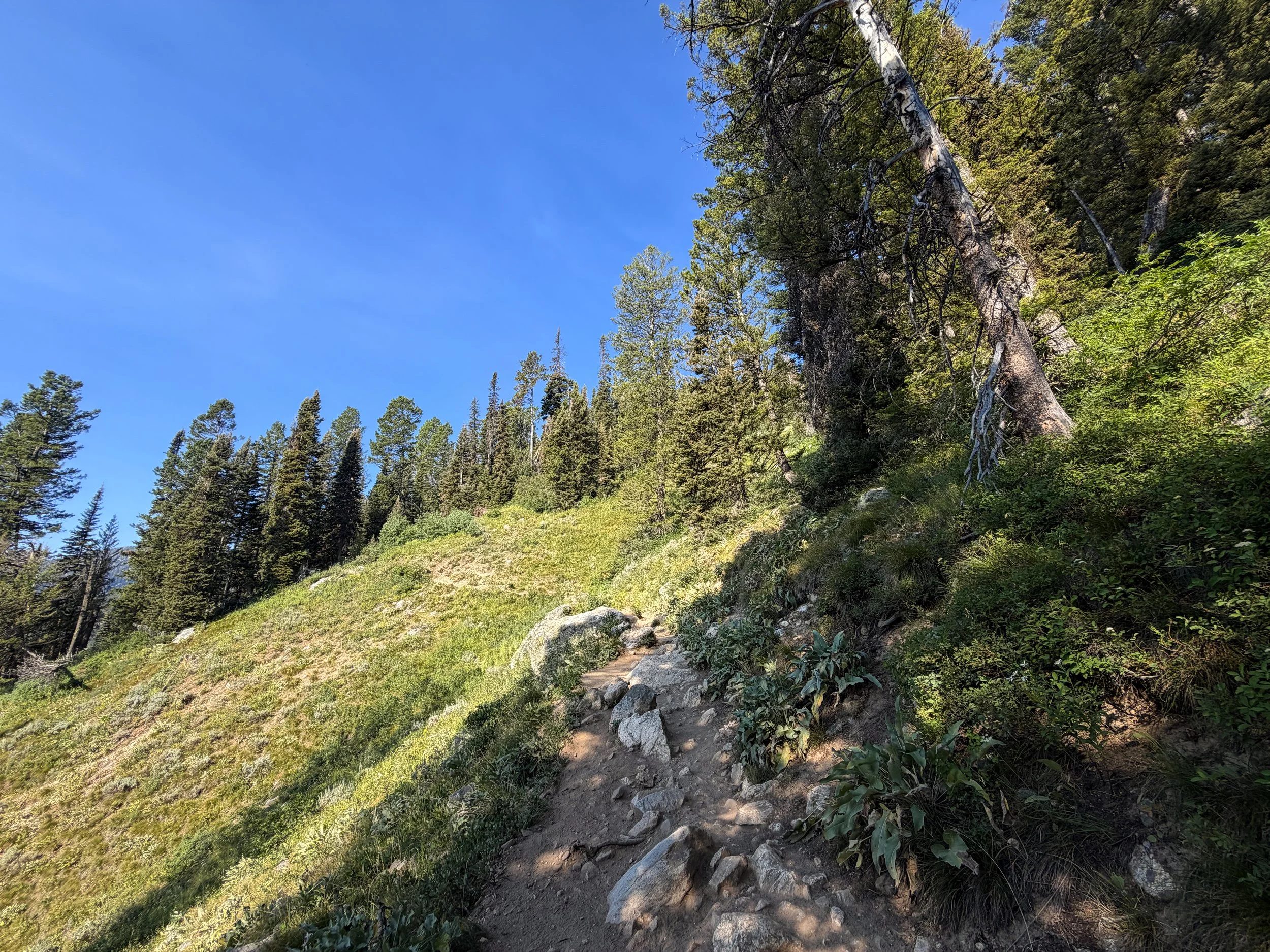 Delta Lake Trail Grand Teton National Park Wyoming