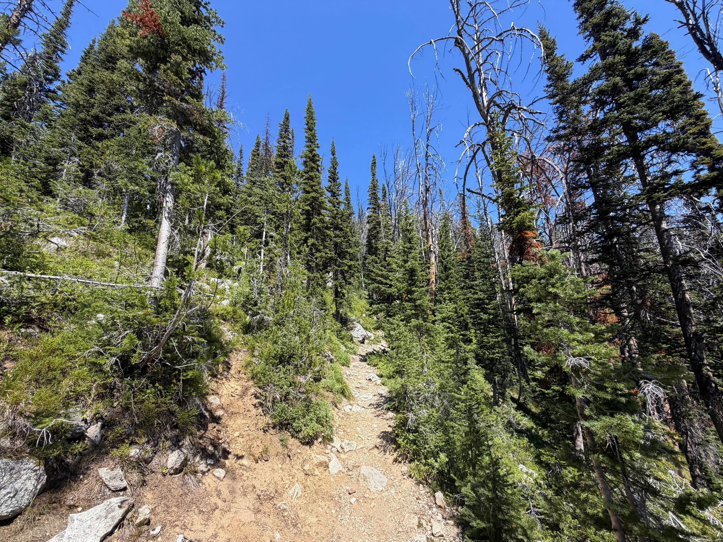 Surprise and Amphitheater Lakes Trail Grand Teton National Park Wyoming