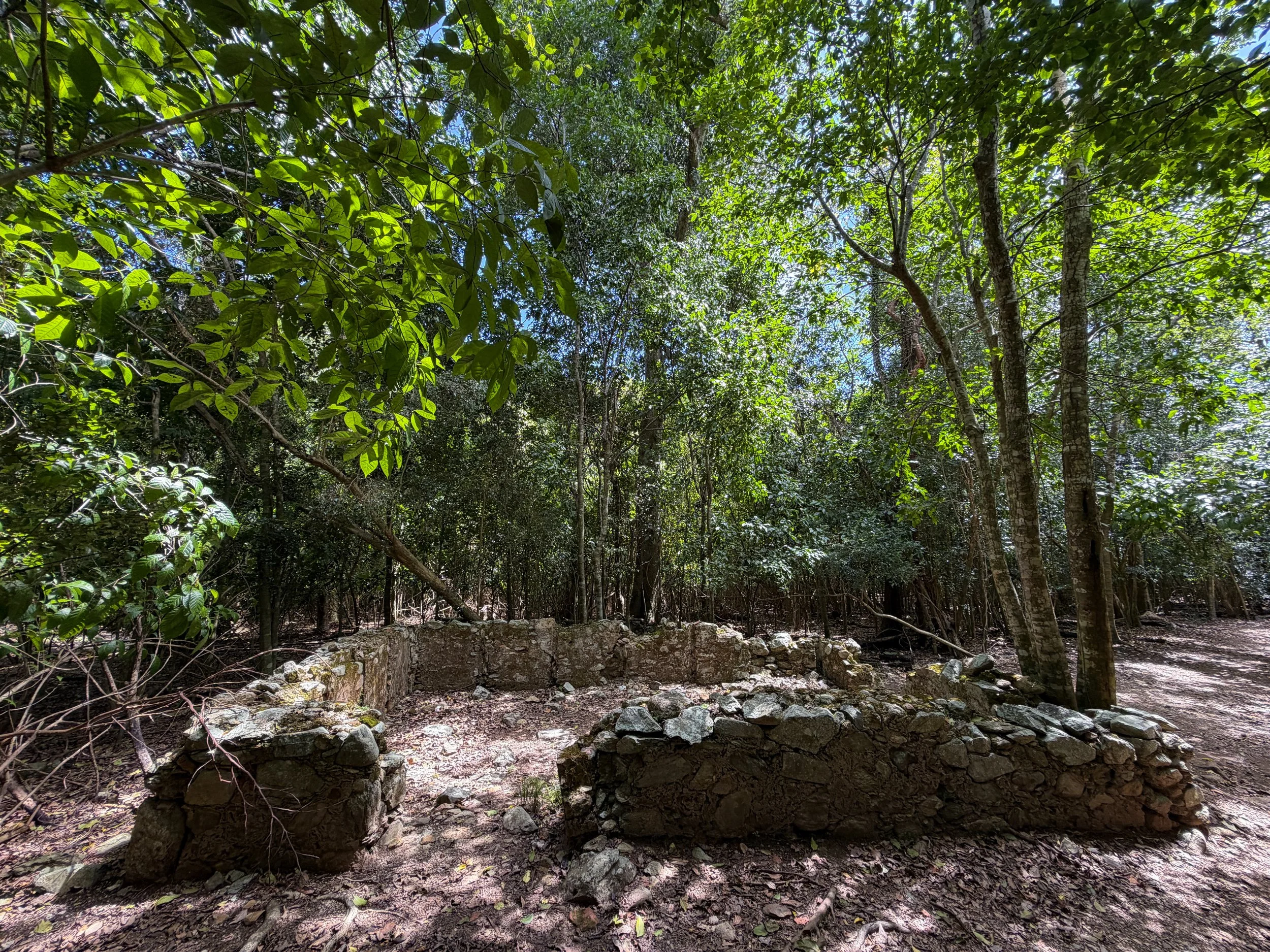 Par Force Village Reef Bay Trail Virgin Islands National Park