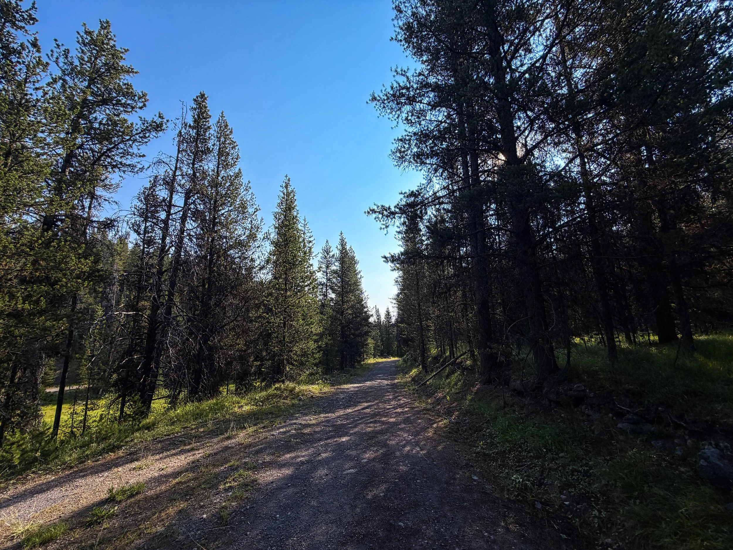 Natural Bridge Trail Yellowstone National Park Wyoming