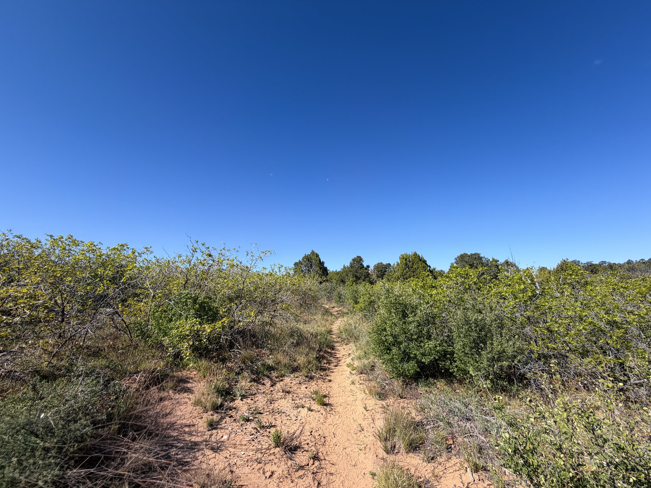 Deertrap Mountain Trail Zion National Park Utah