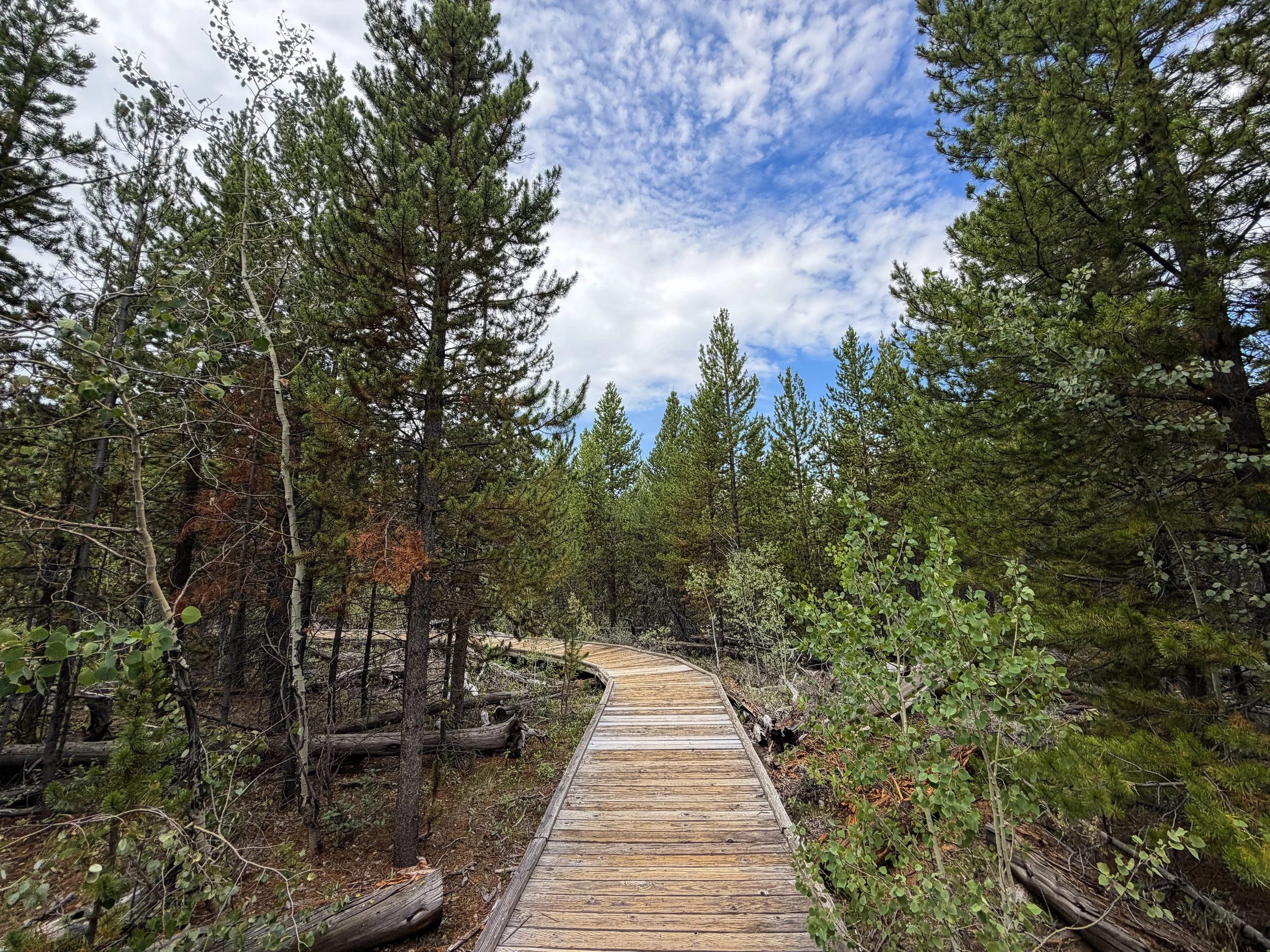 Forces of the Northern Range Boardwalk Trail Yellowstone National Park Wyoming