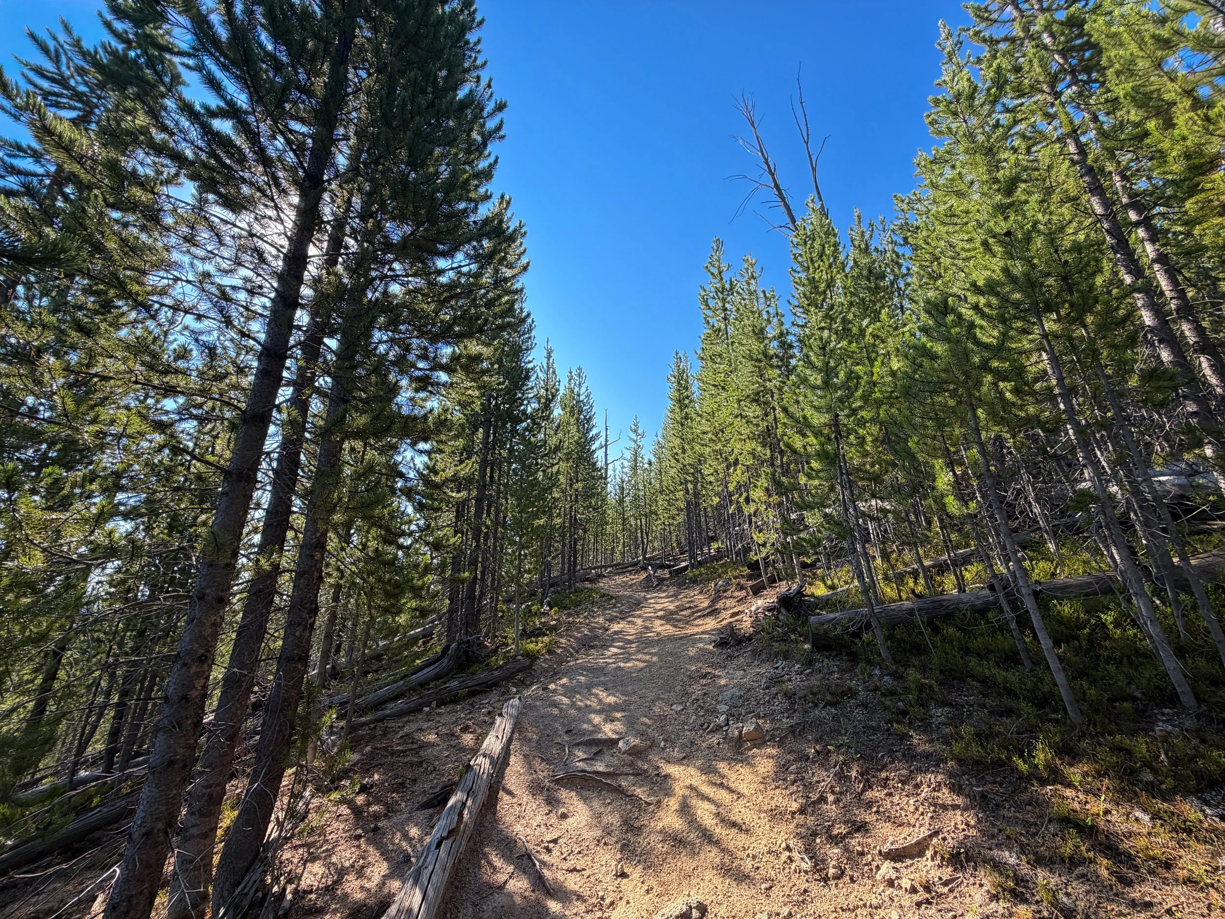 Monument Geyser Basin Trail Yellowstone National Park Wyoming