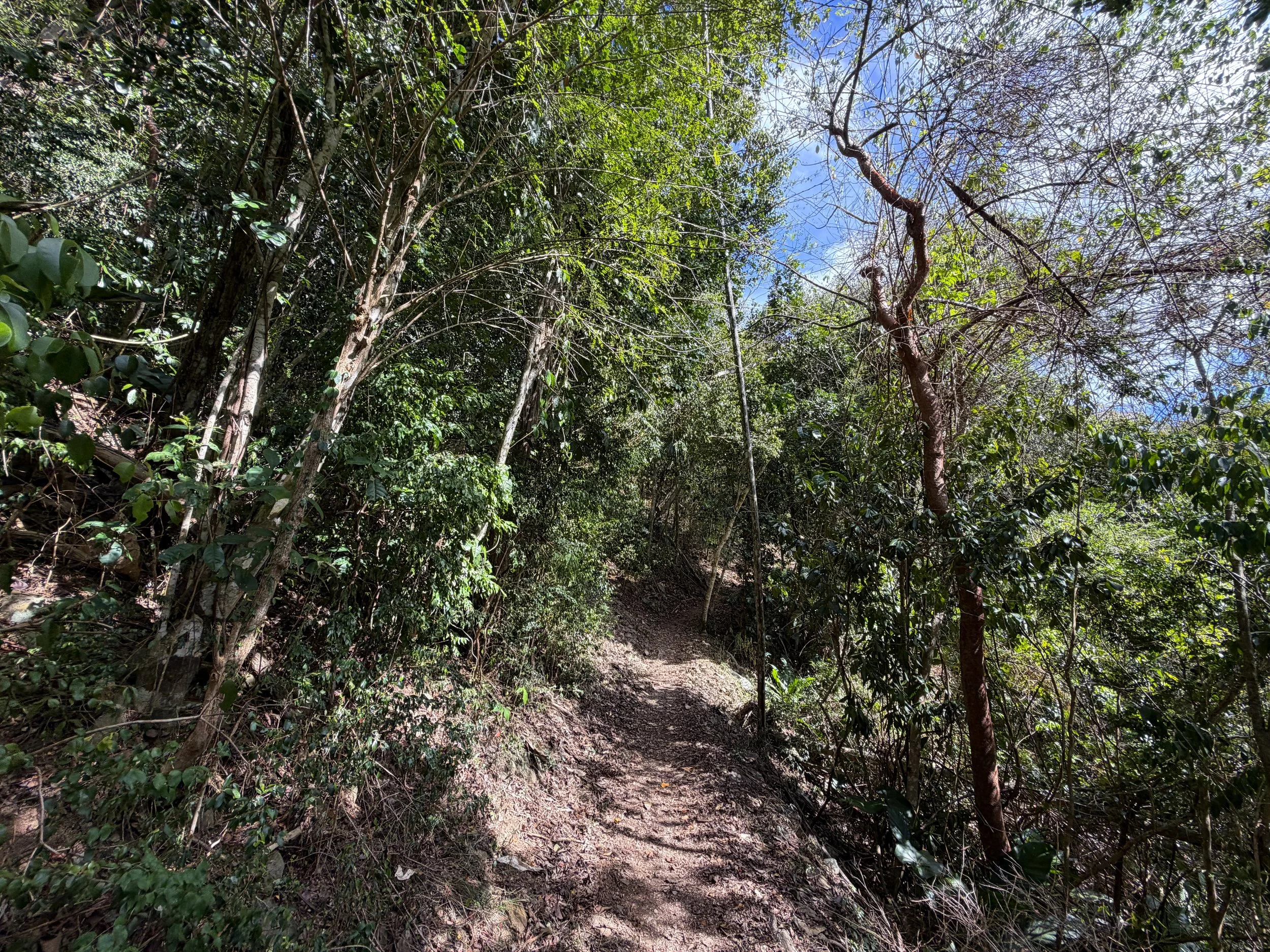 Cinnamon Bay Trail Virgin Islands National Park
