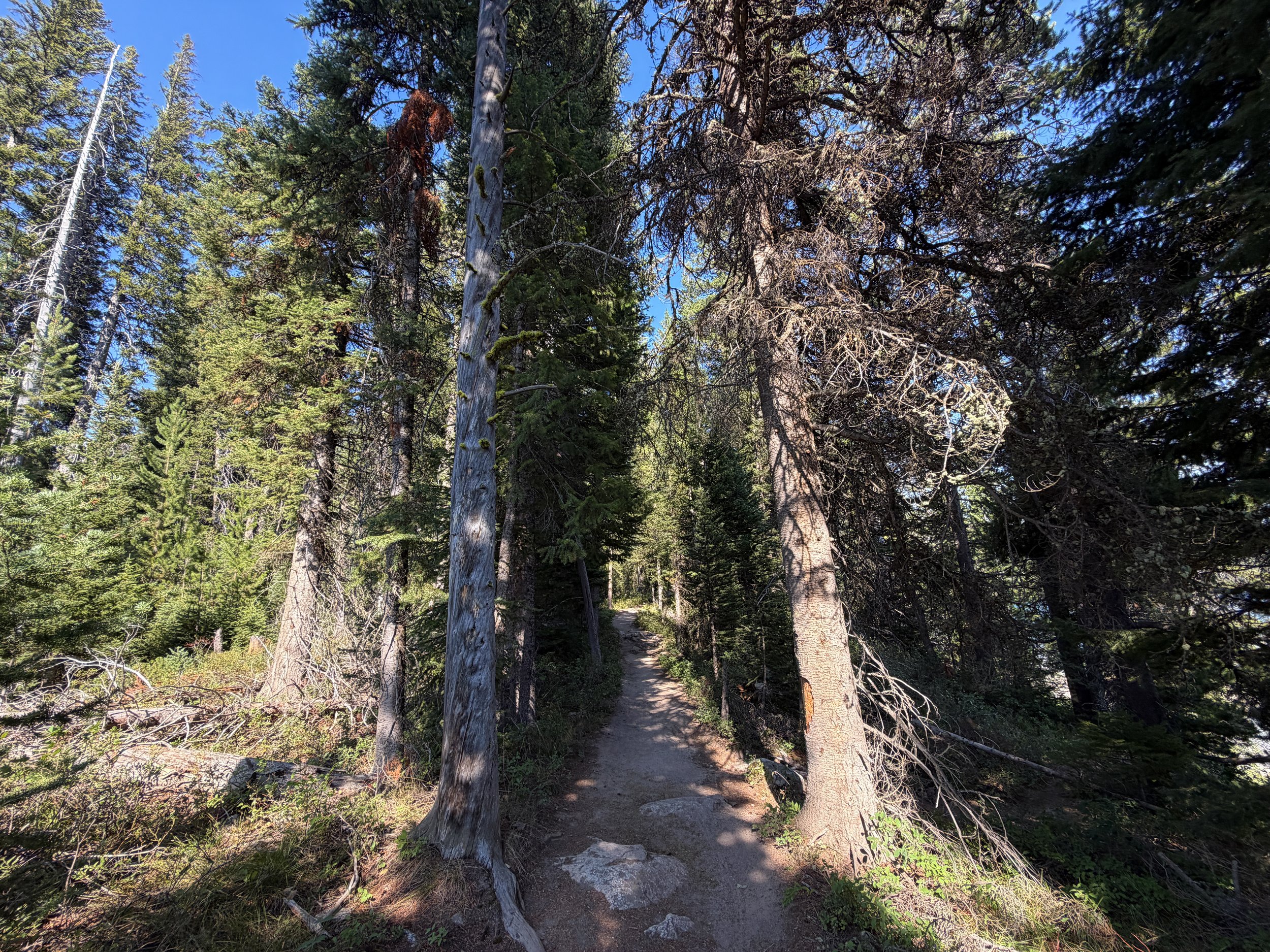 Jenny Lake Trail Grand Teton National Park Wyoming