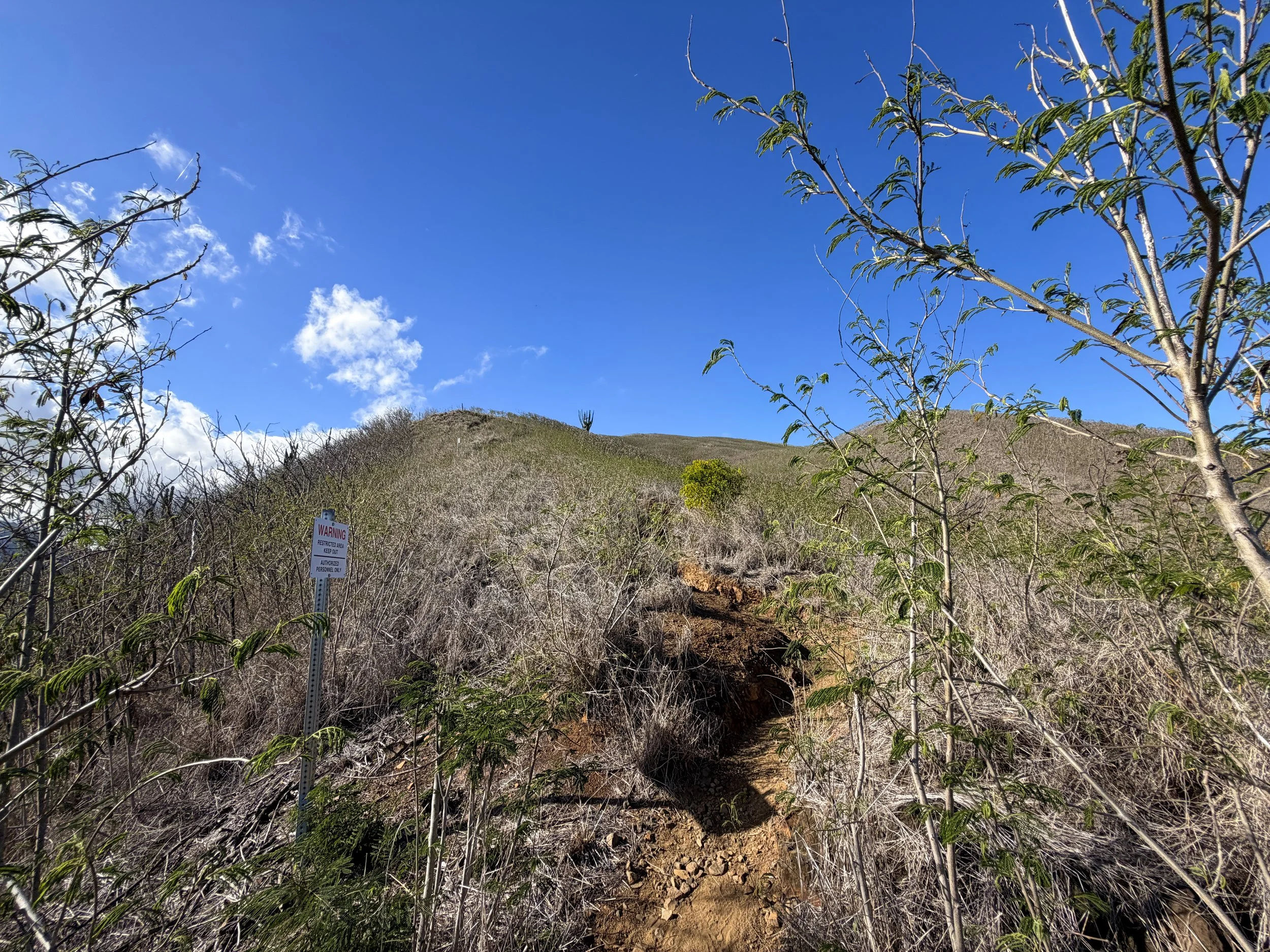 Back Way Lanikai Pillbox Hike Oahu Hawaii
