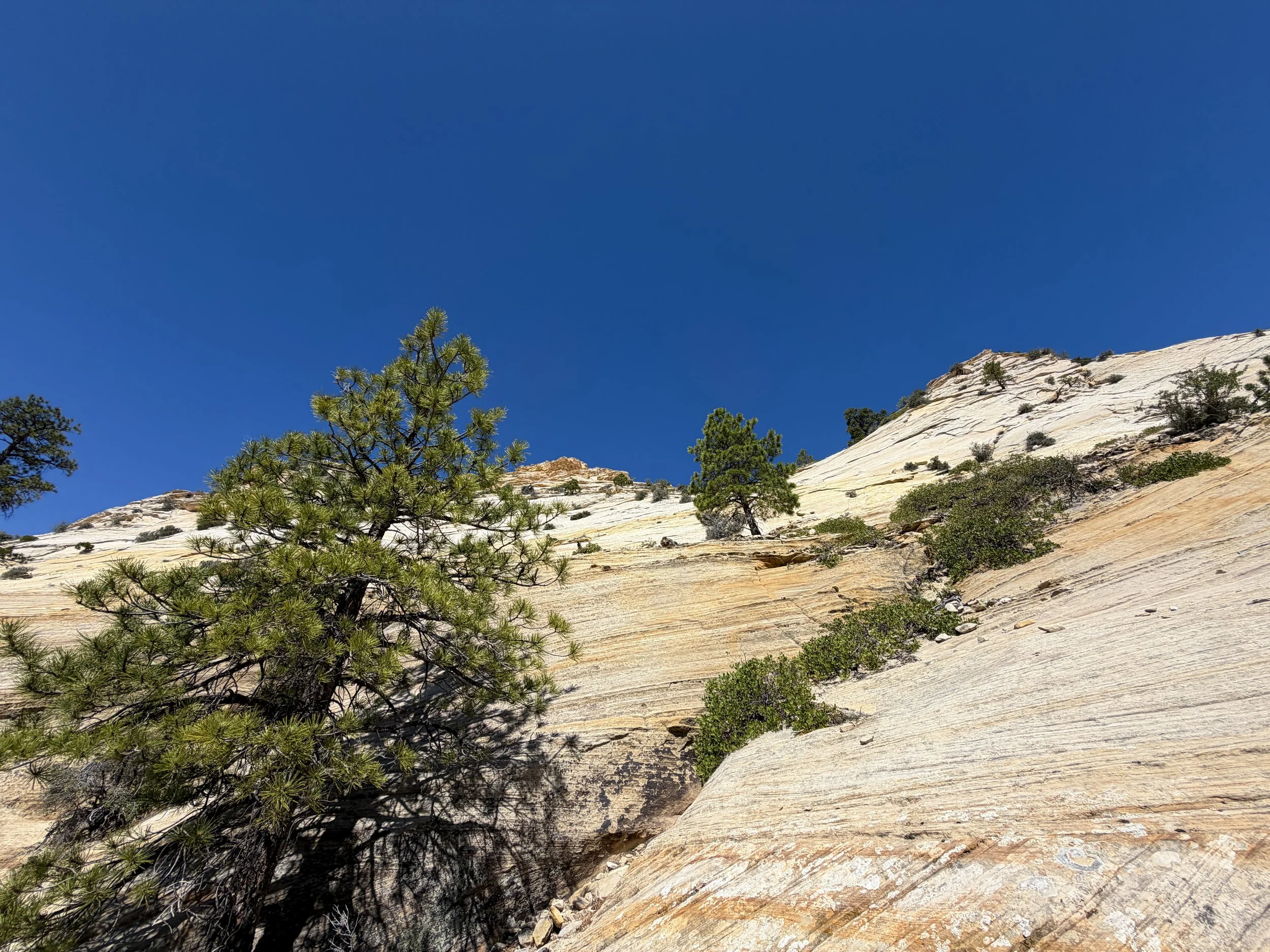 South Ariel Peak Hike Zion National Park Utah