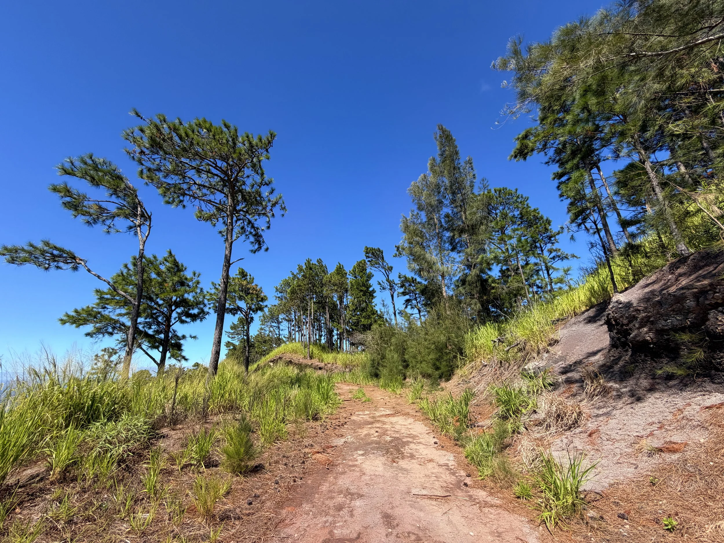 Kuaokala Trail Oahu Hawaii