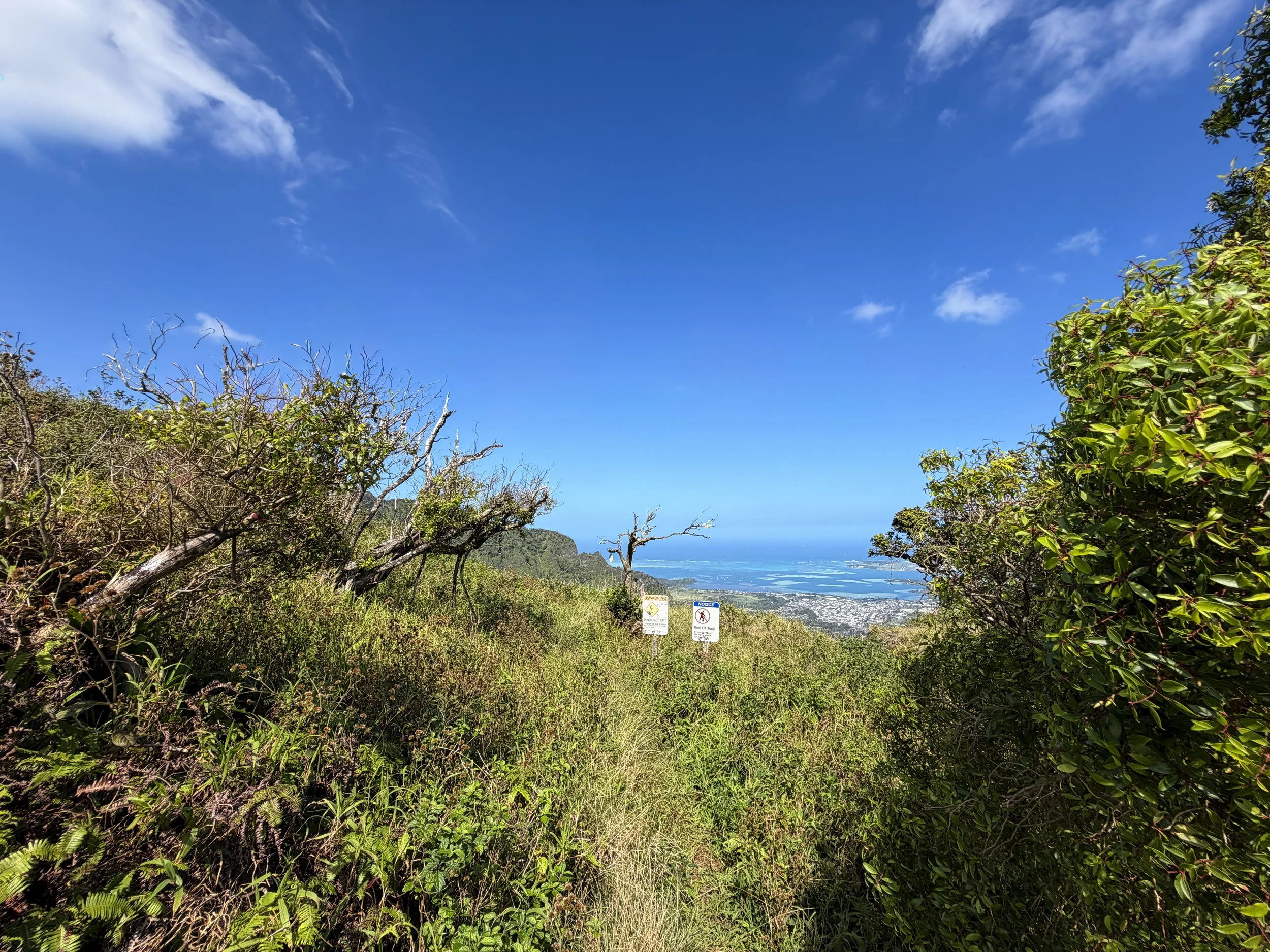 Kulanaahane Trail Summit Moanalua Saddle Oahu Hawaii
