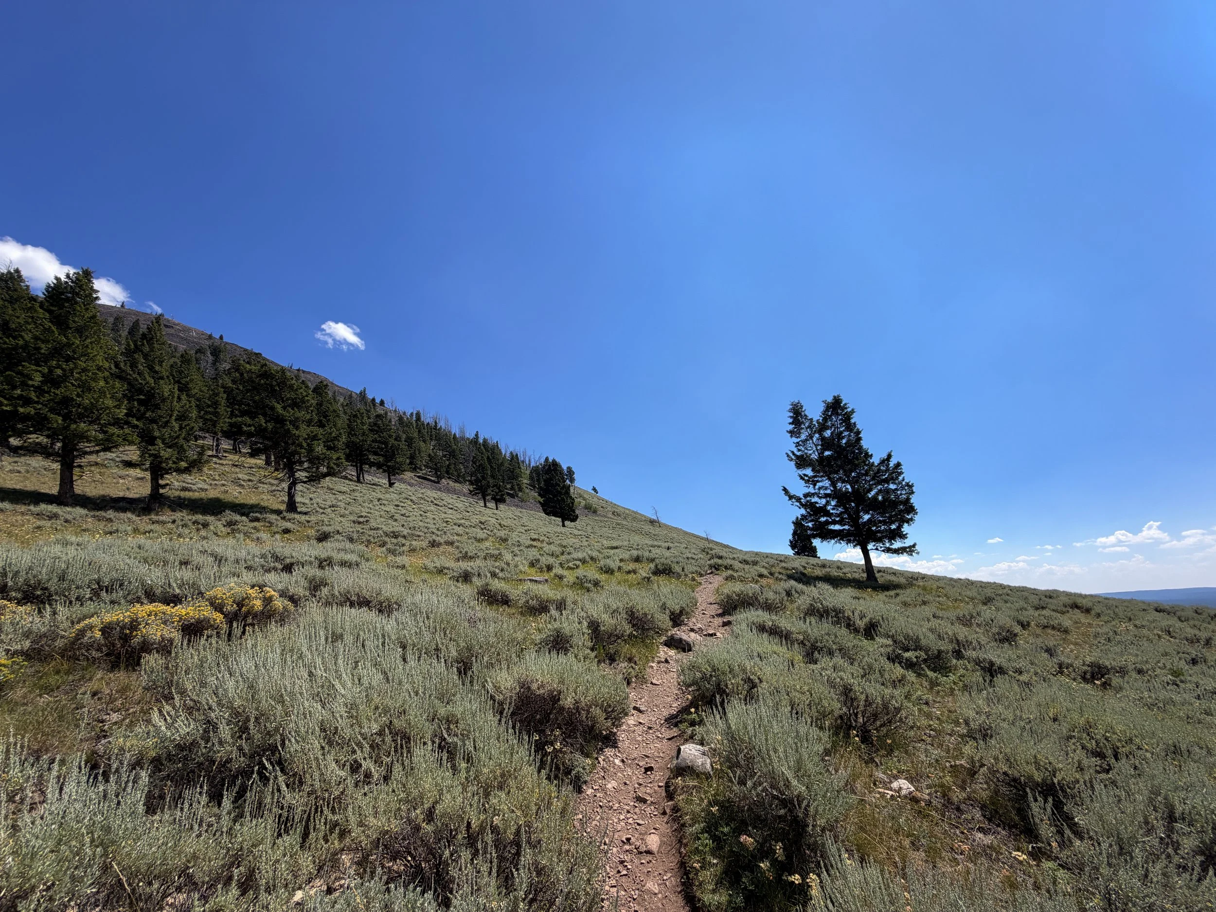 Bunsen Peak Hike Yellowstone National Park Wyoming