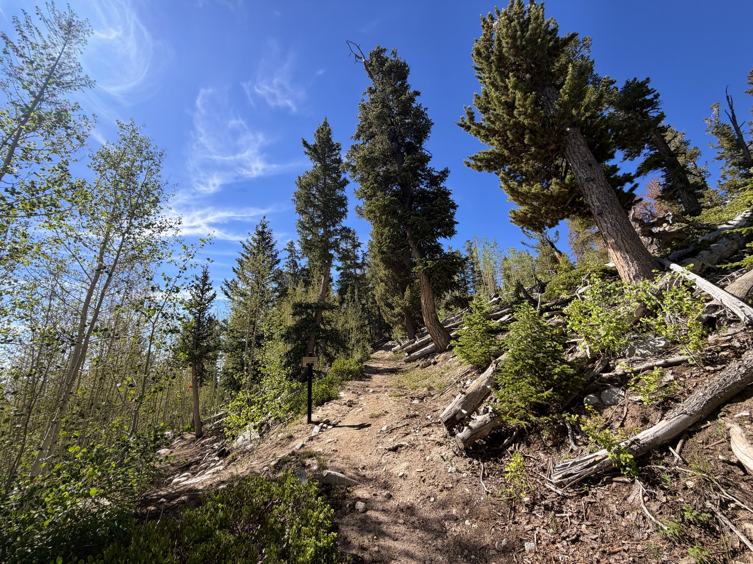 Johnson Lake Trail Great Basin National Park Nevada