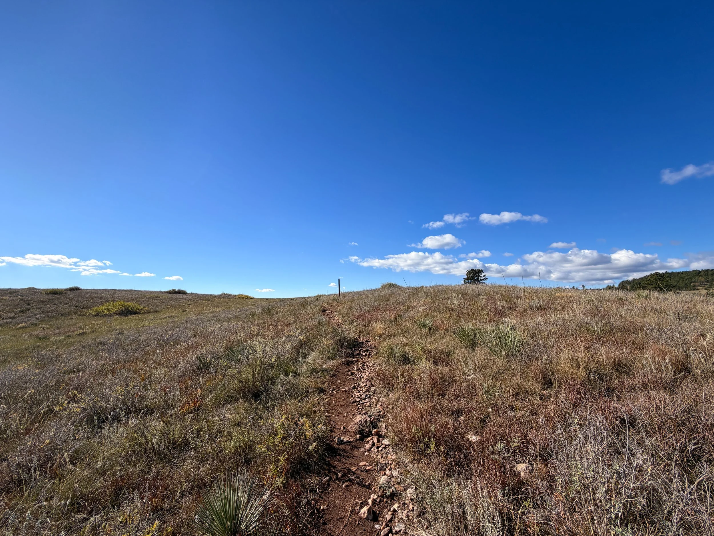 Prairie Vista Nature Trail Wind Cave National Park South Dakota