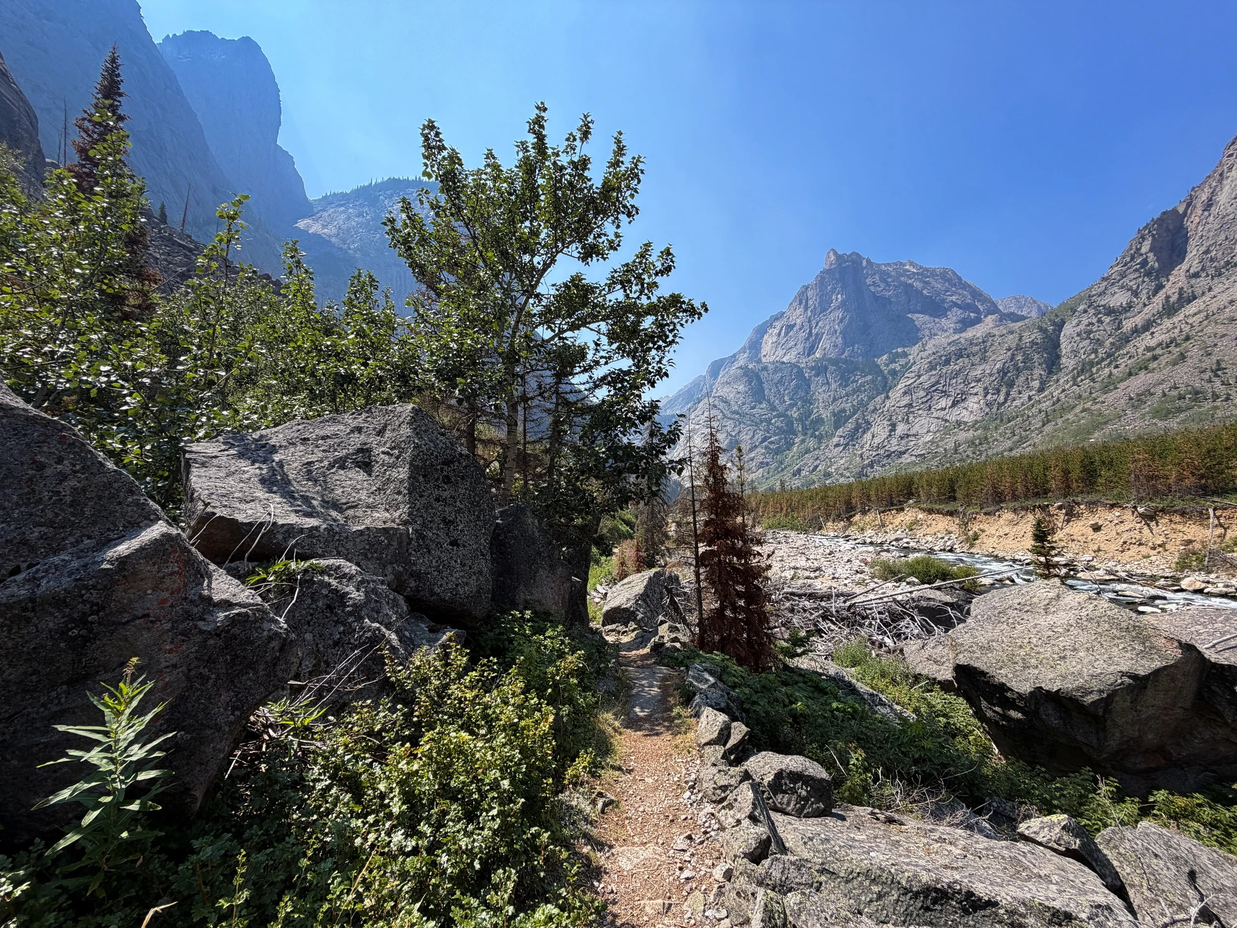 East Rosebud Trail Beaten Path Beartooth Mountains Montana