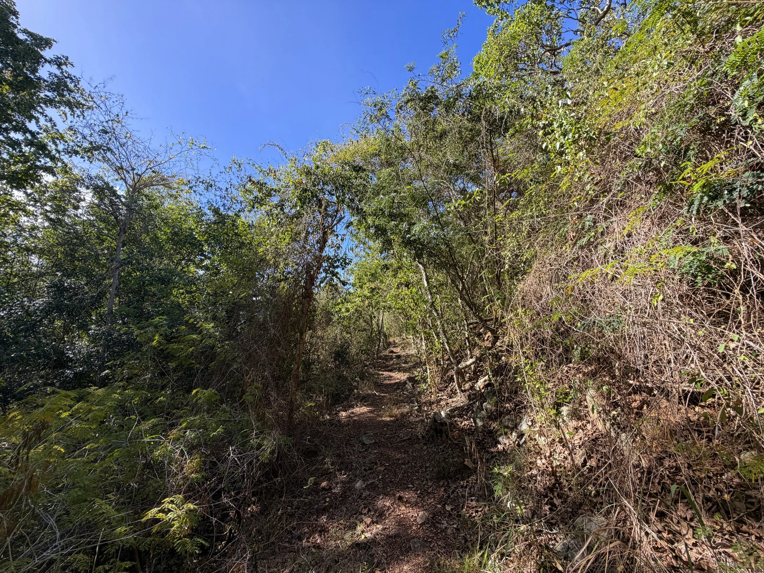 Lameshur Bay Trail to Europa Point Virgin Islands National Park