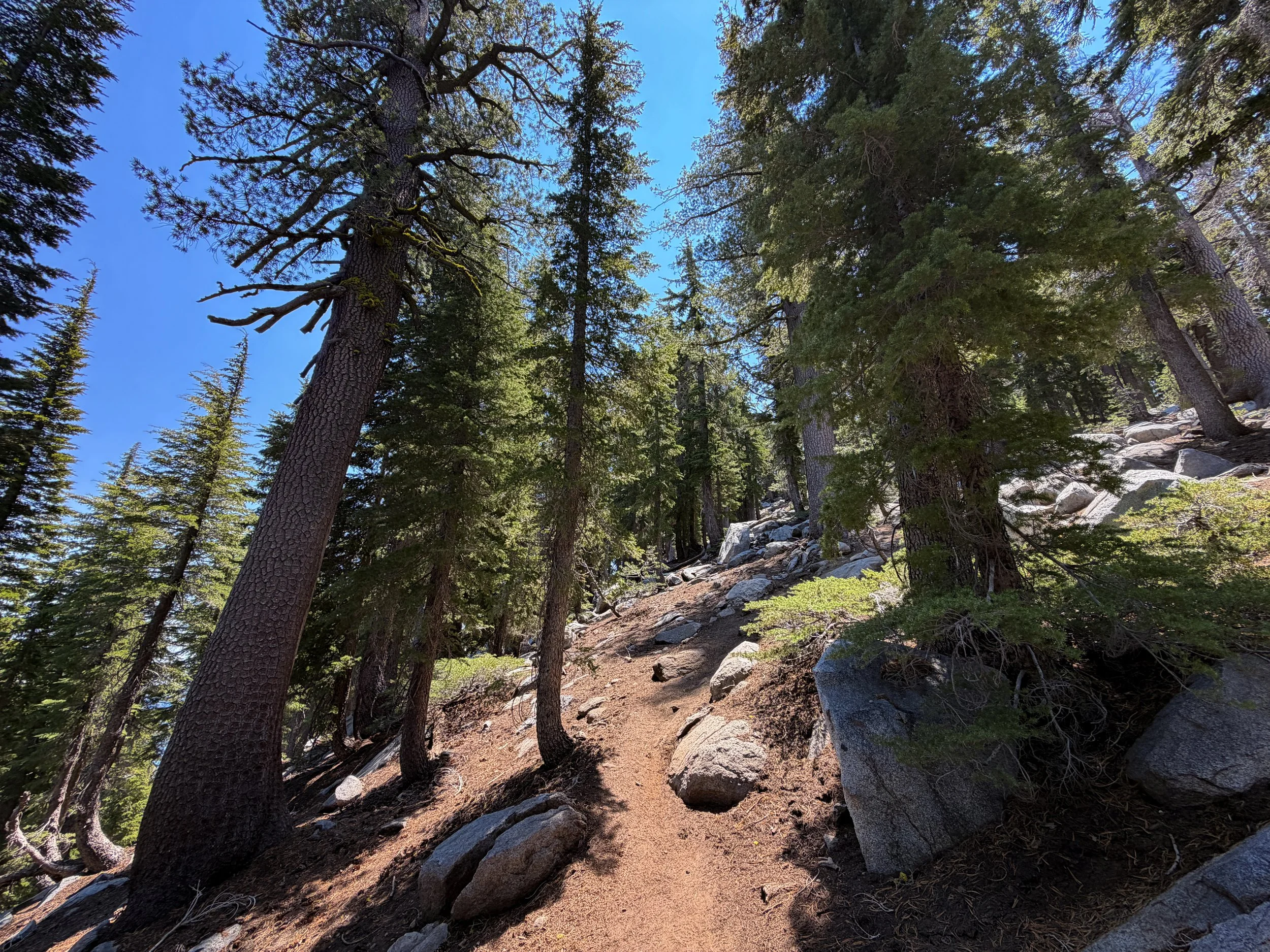 Maggies Peak Trail Lake Tahoe California