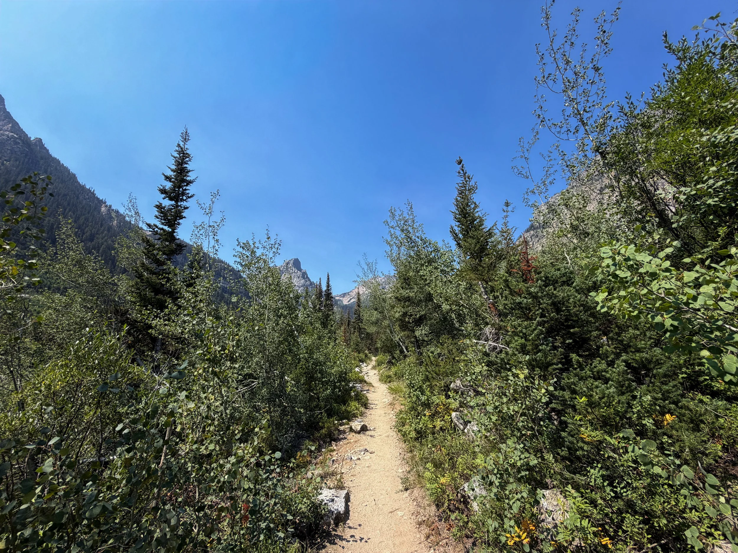 Cascade Canyon Trail Grand Teton National Park Wyoming