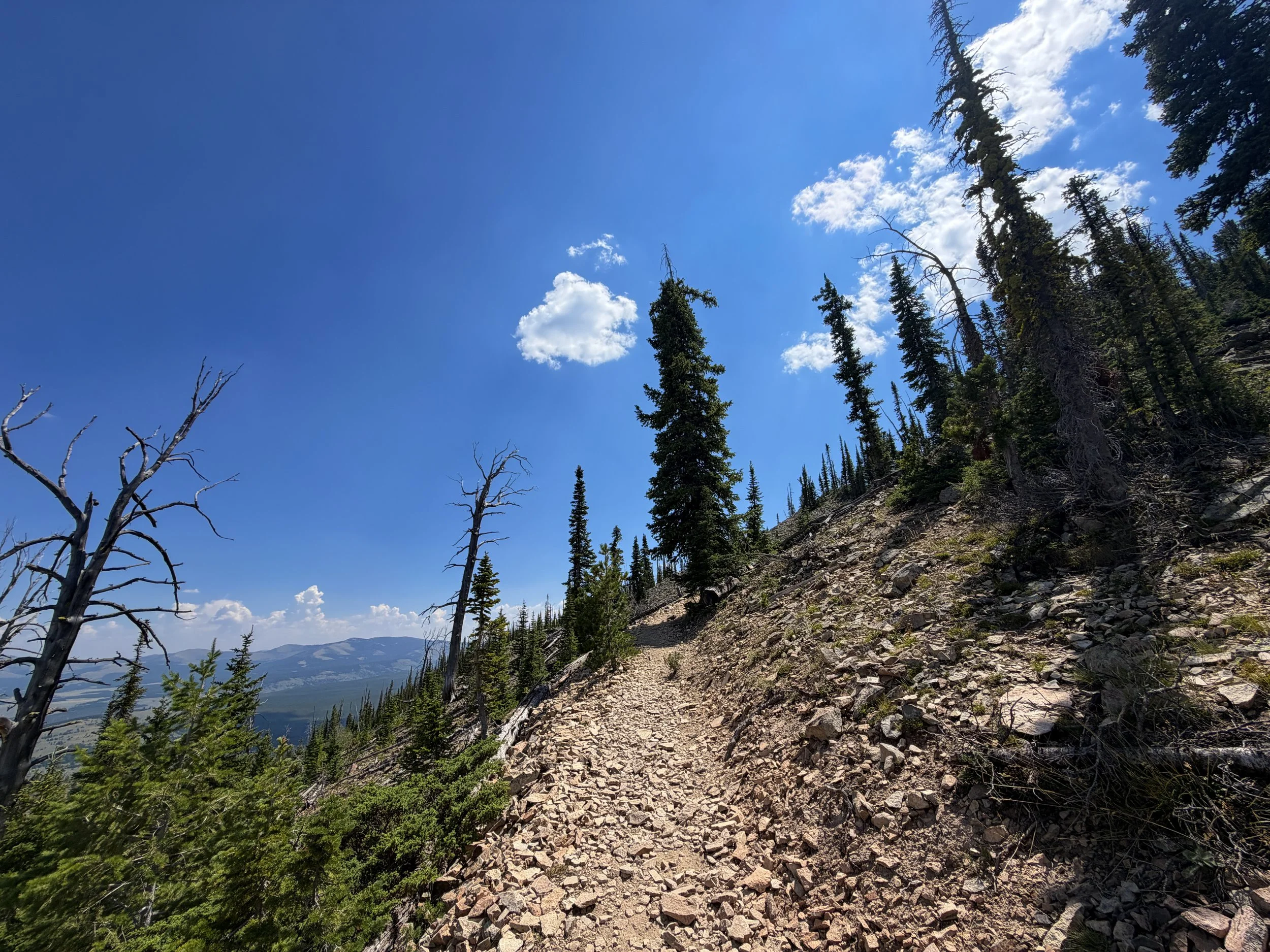 Bunsen Peak Trail Yellowstone National Park Wyoming