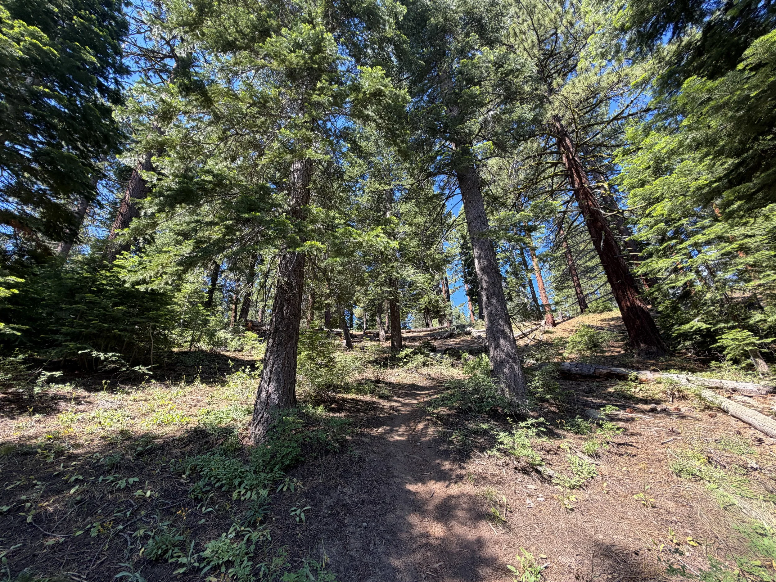 Captain Pomin Trail Lake Tahoe Nevada