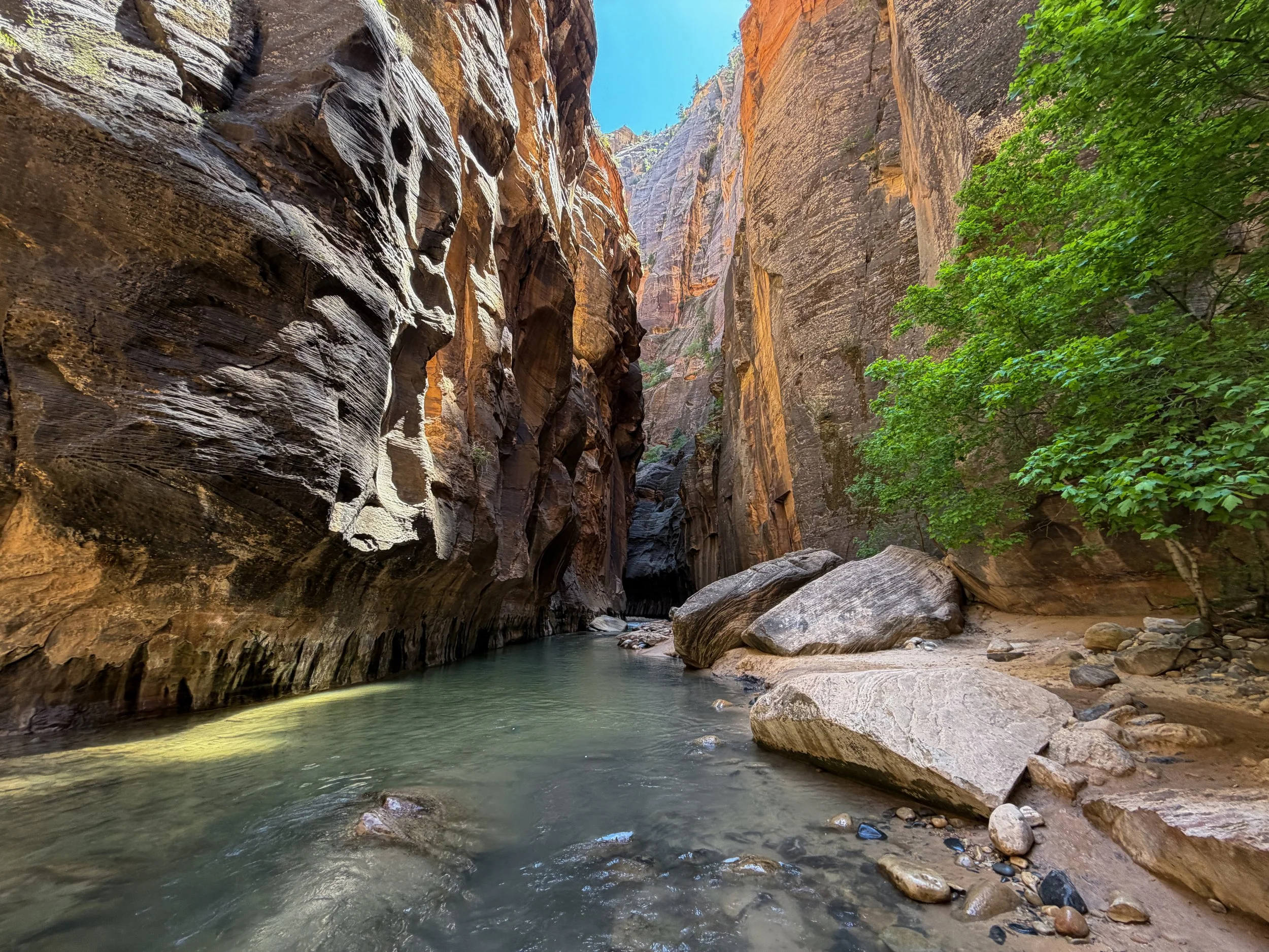 Narrows Hike Zion National Park Utah
