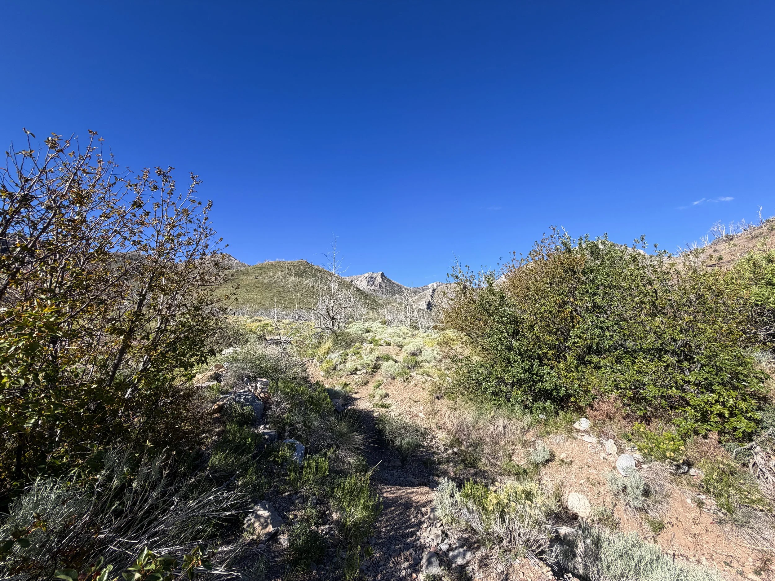 Lexington Arch Hike Great Basin National Park Nevada