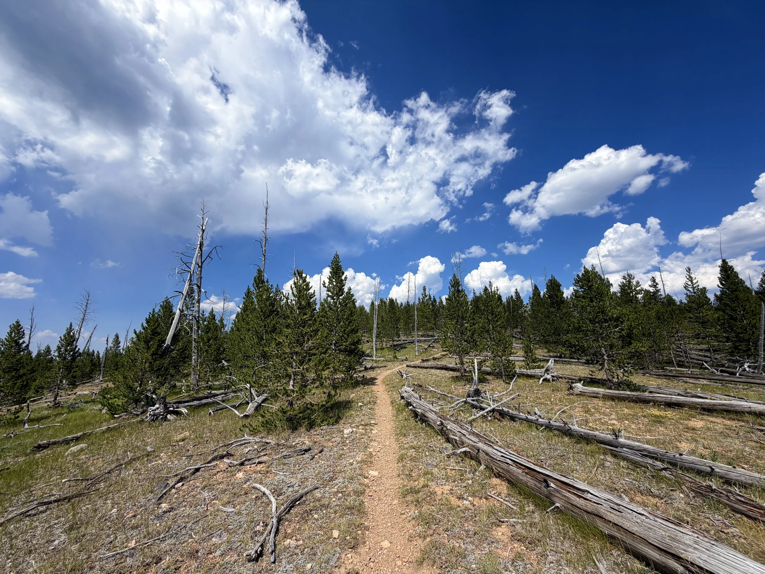 Bunsen Peak Trail to Osprey Falls Yellowstone National Park Wyoming
