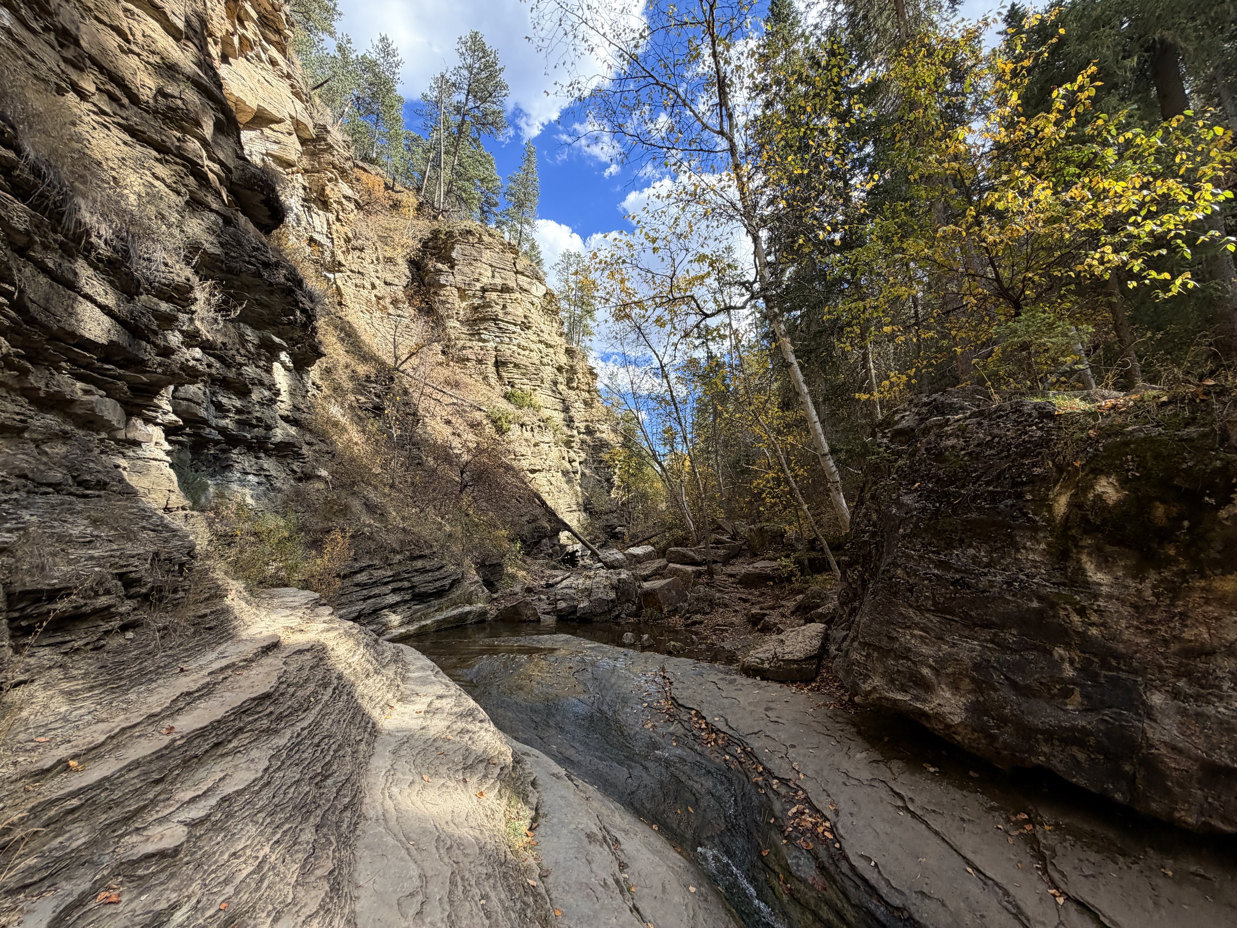 Devils Bathtub Trail Spearfish Canyon Black Hills South Dakota