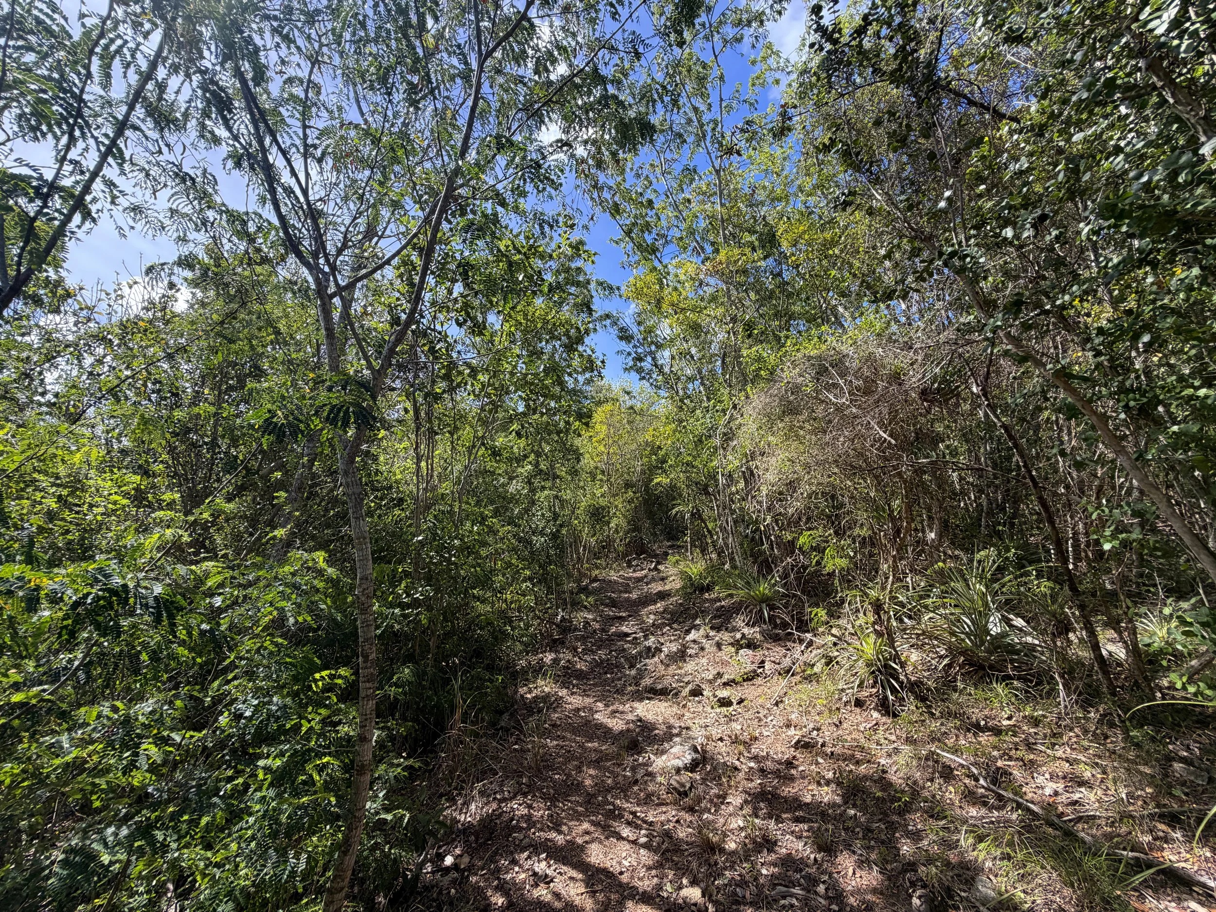 Lameshur Bay Trail to Europa Bay Virgin Islands National Park