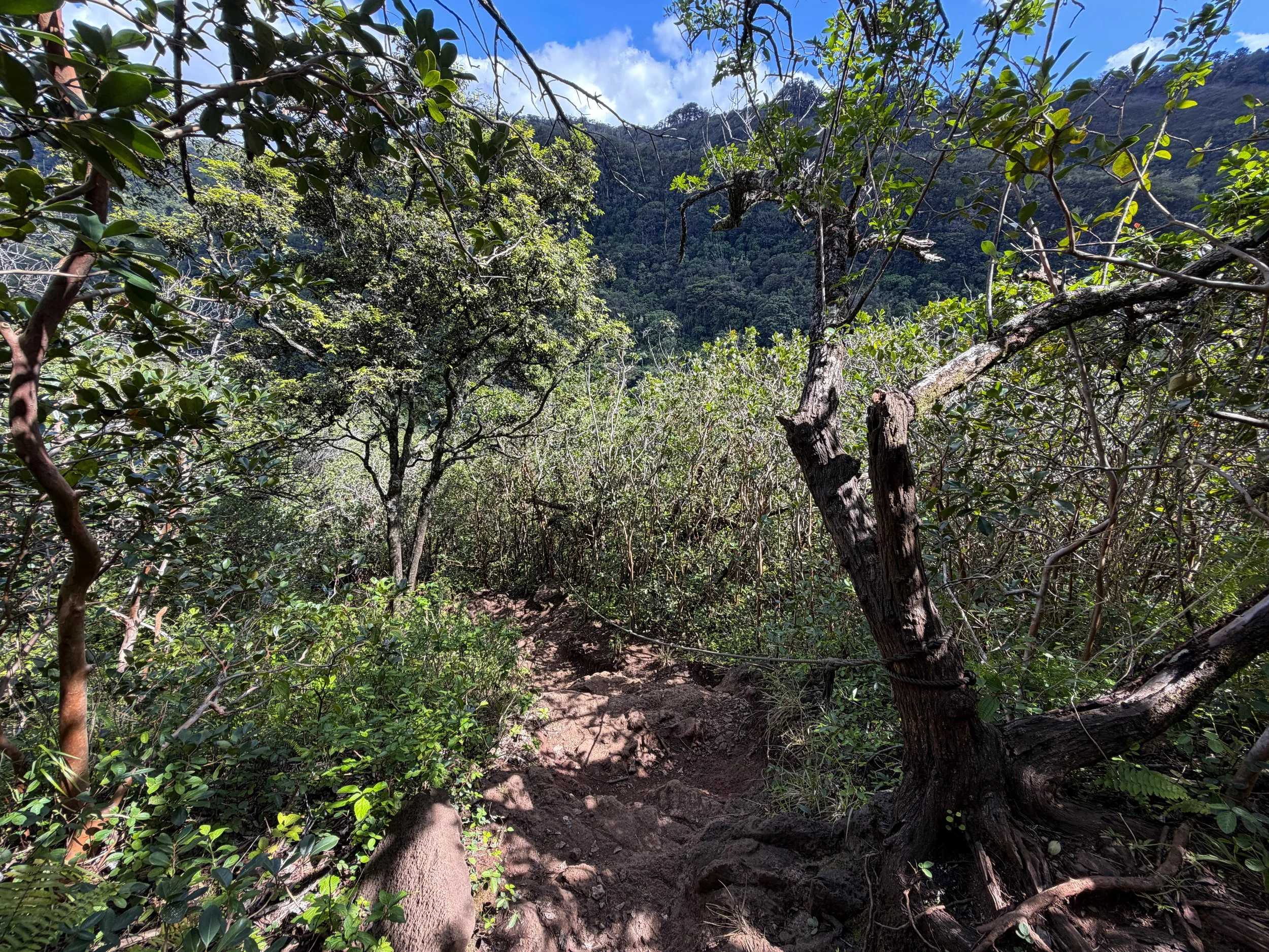 Waimano Pools Hike Oahu Hawaii