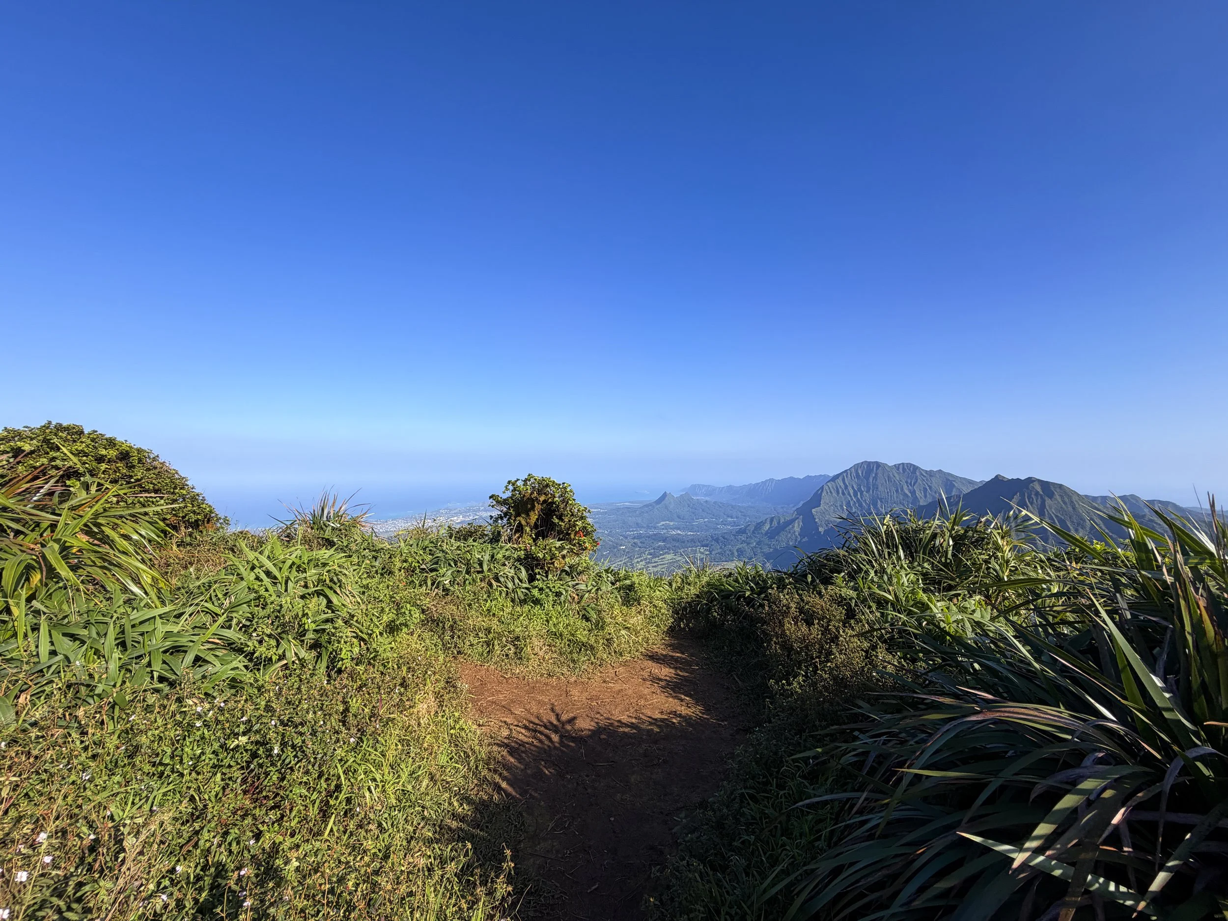 Moanalua Middle Ridge Summit Oahu Hawaii