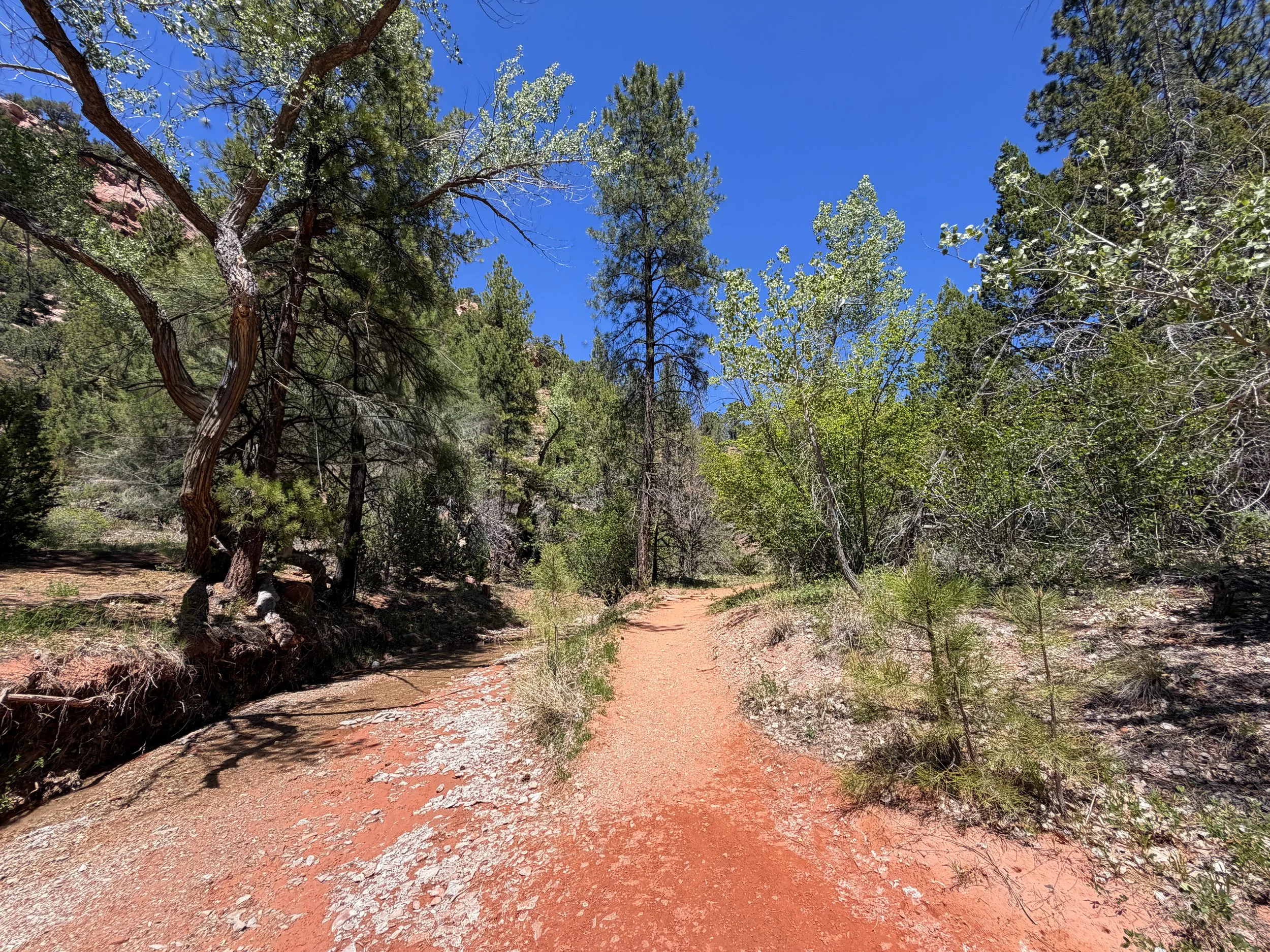 Middle Taylor Creek Trail Zion National Park Utah