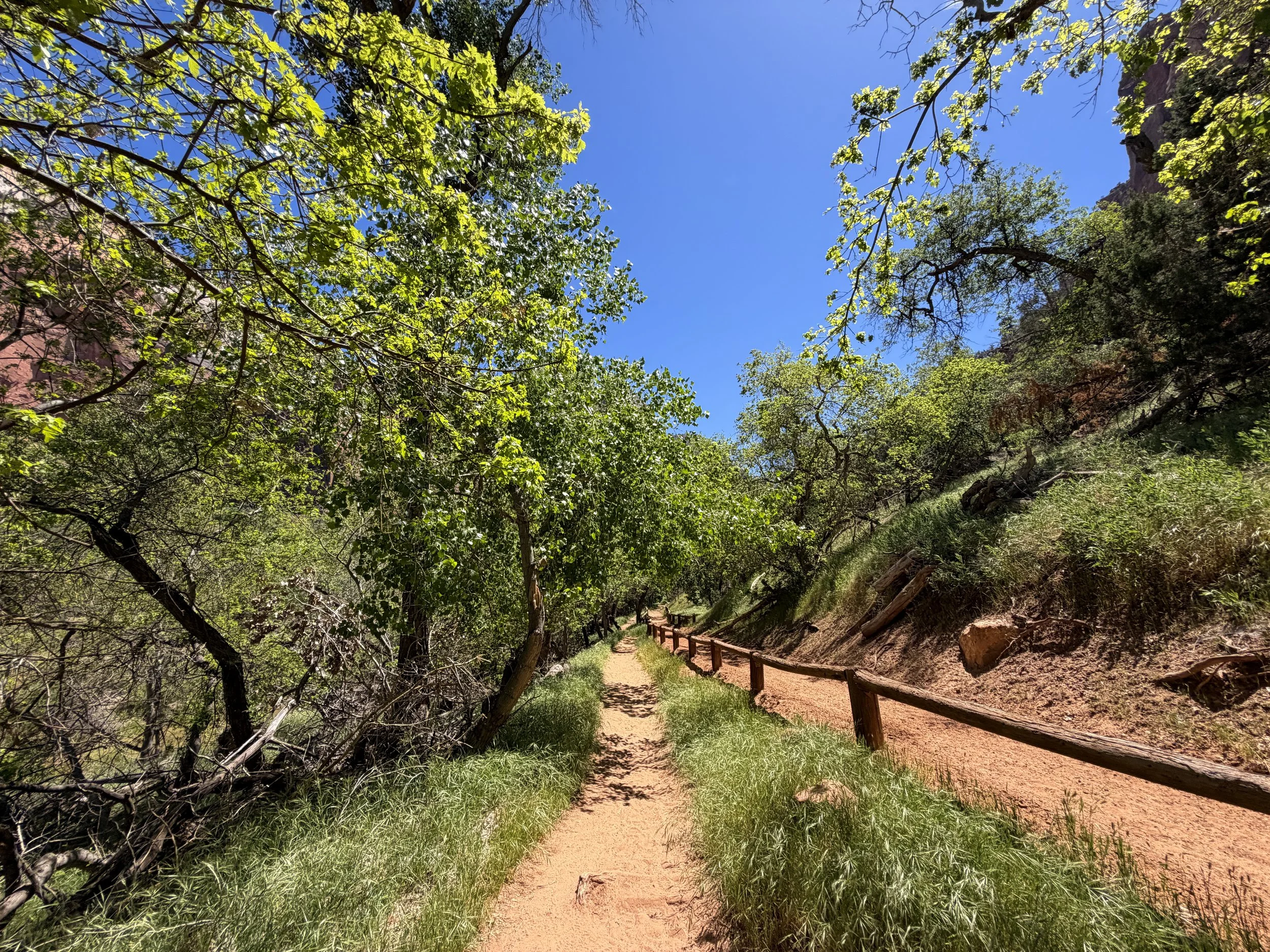 Sand Bench Trail via Zion Lodge Zion National Park Utah