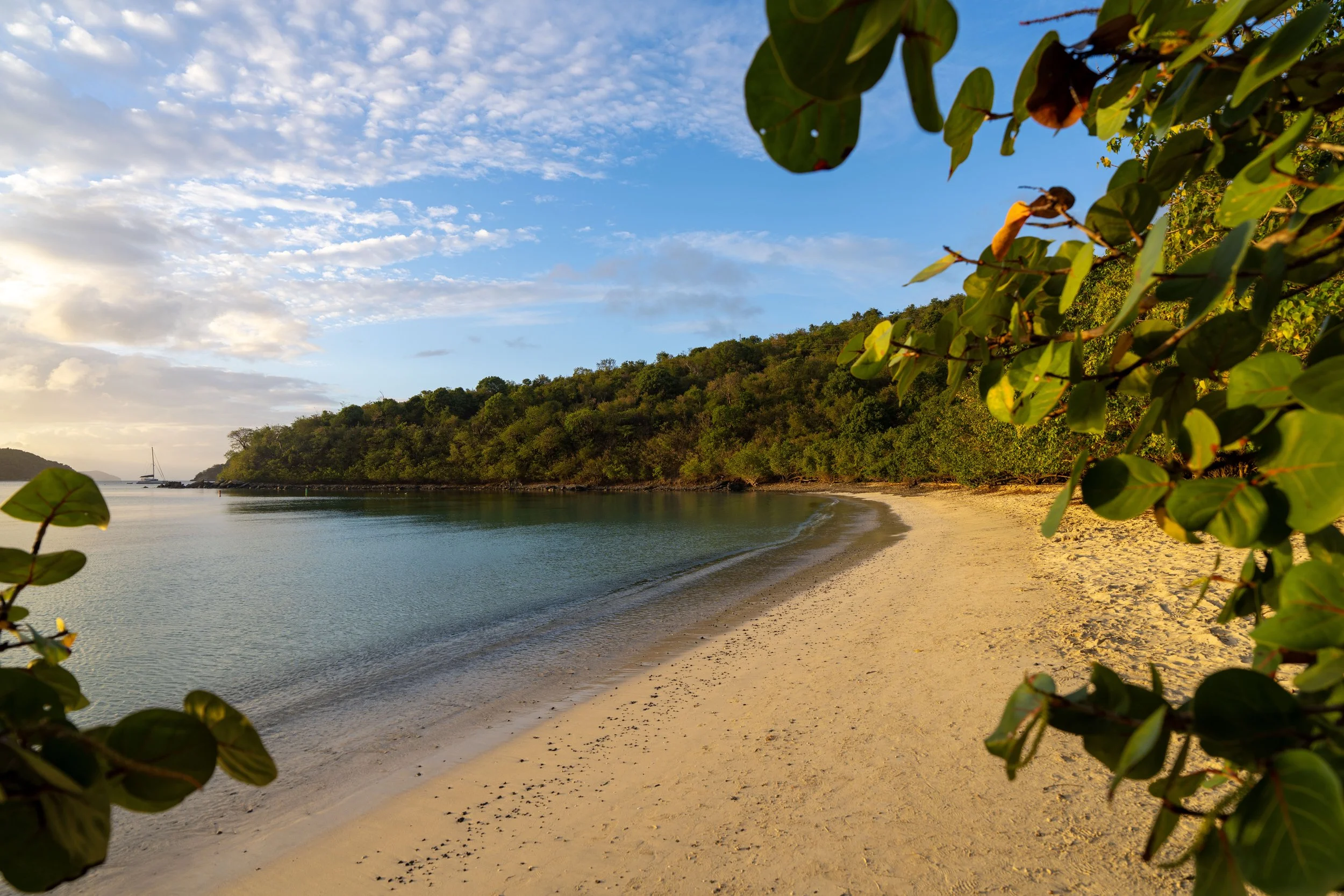 Maho Bay Beach Sunset Virgin Islands National Park