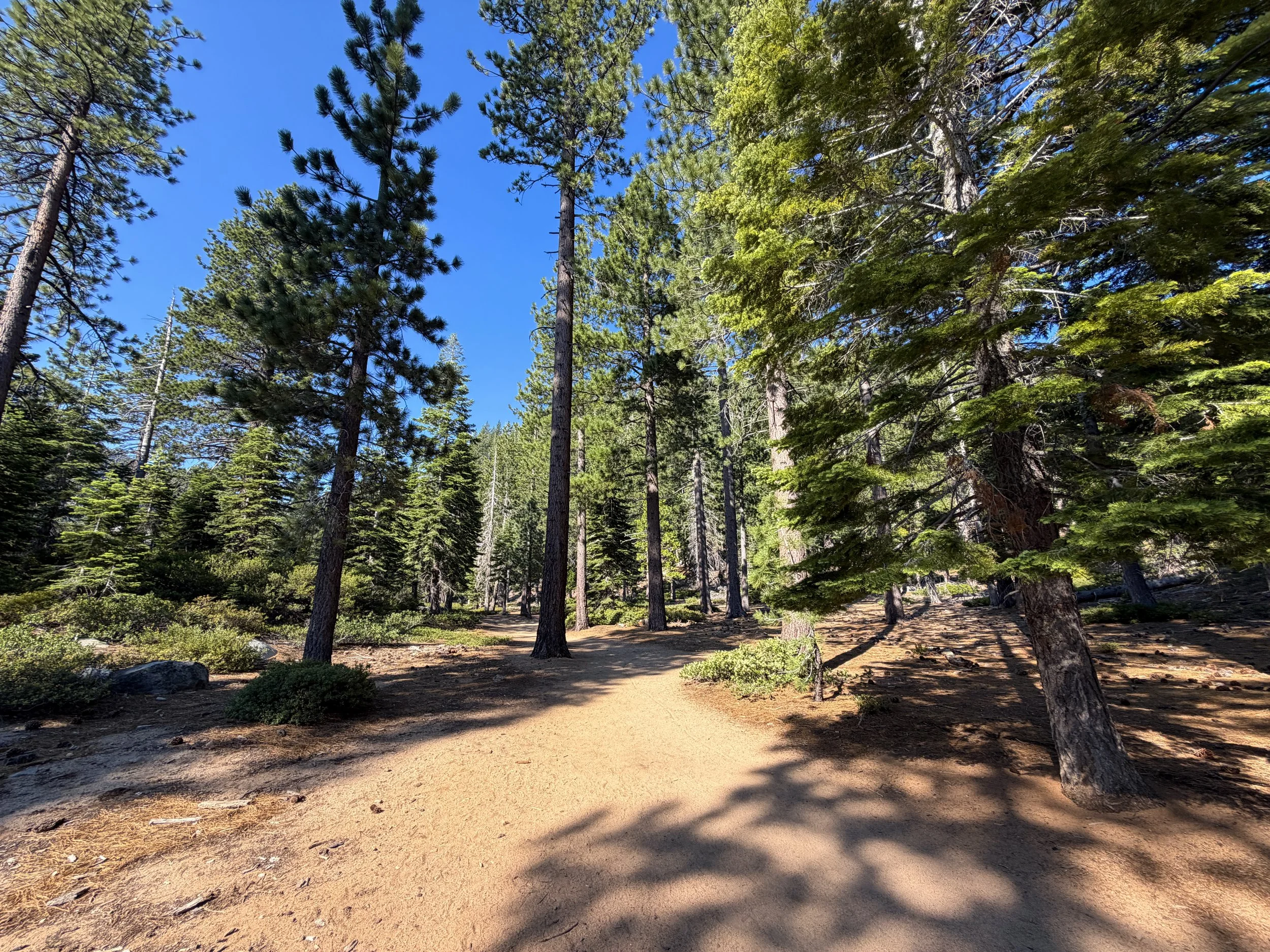 Cascade Falls Trail Lake Tahoe California