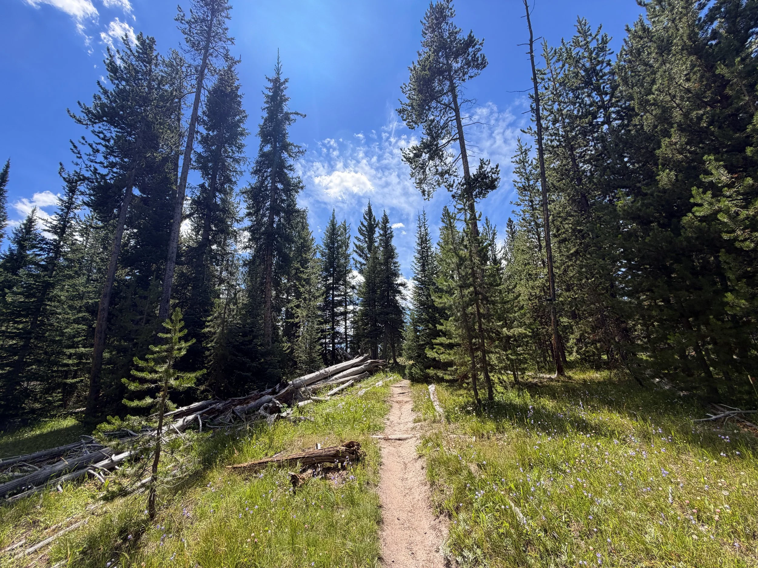 West Thumb Overlook Trail Yellowstone National Park Wyoming