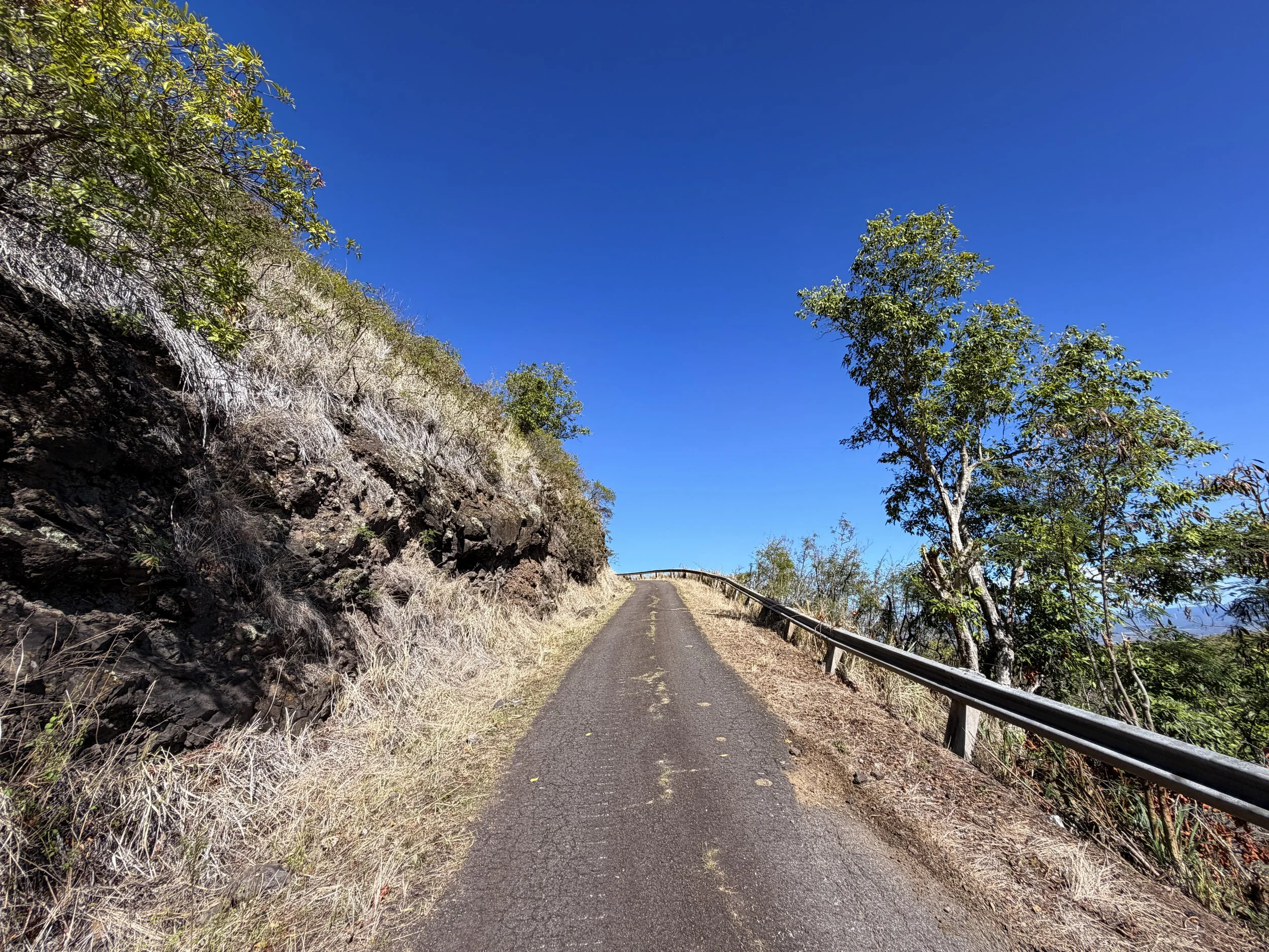Mokuleia Forest Reserve Access Road Hike Oahu Hawaii