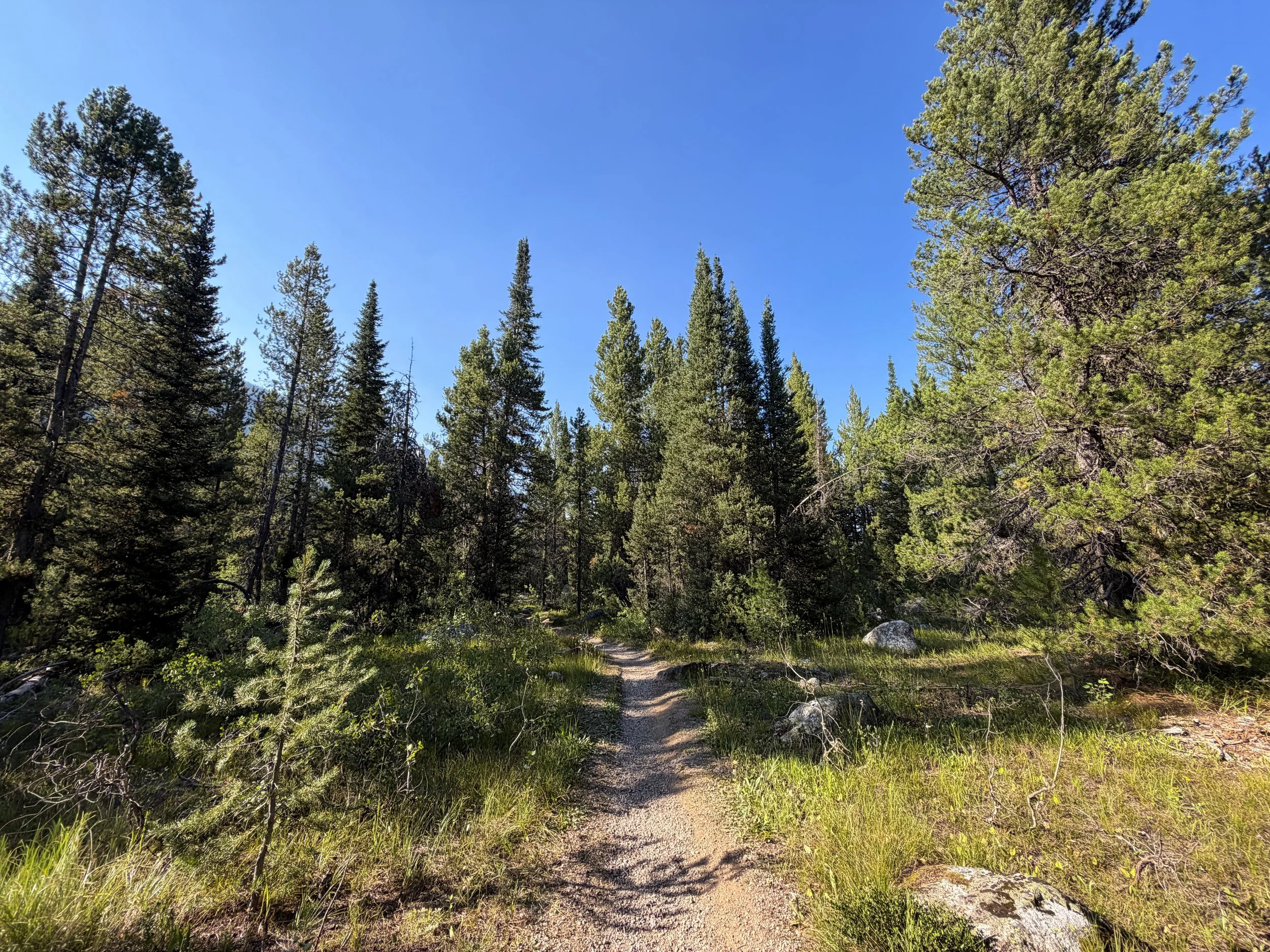 Moose Ponds Loop Trail Grand Teton National Park Wyoming