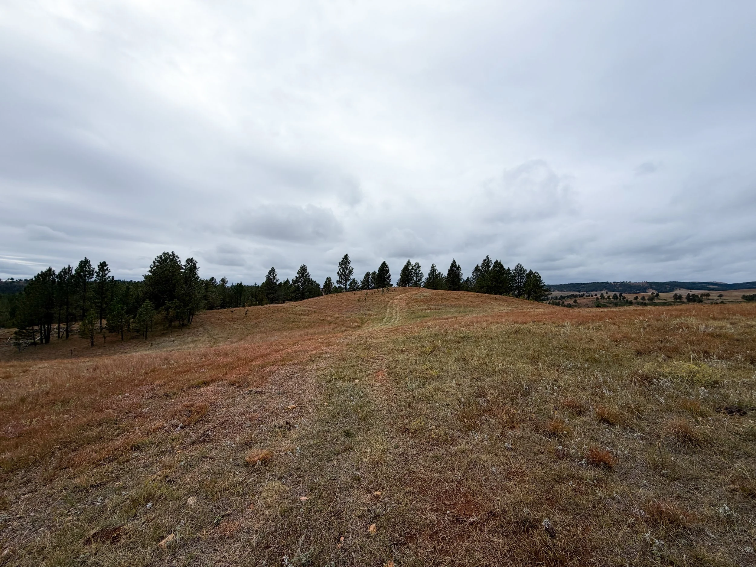 Highland Creek Trail to Wind Cave Canyon Wind Cave National Park South Dakota