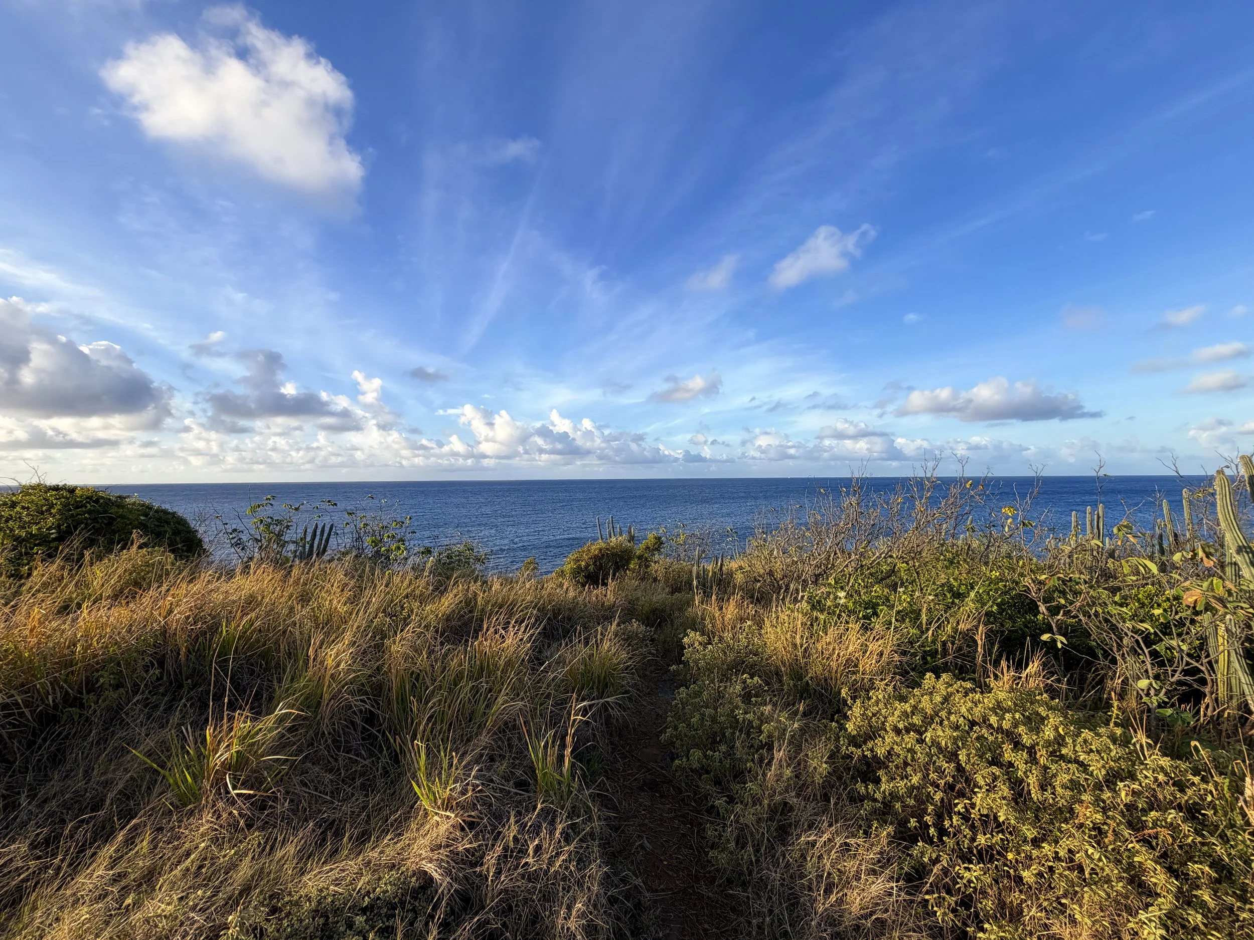 Cabritte Horn Trail Virgin Islands National Park