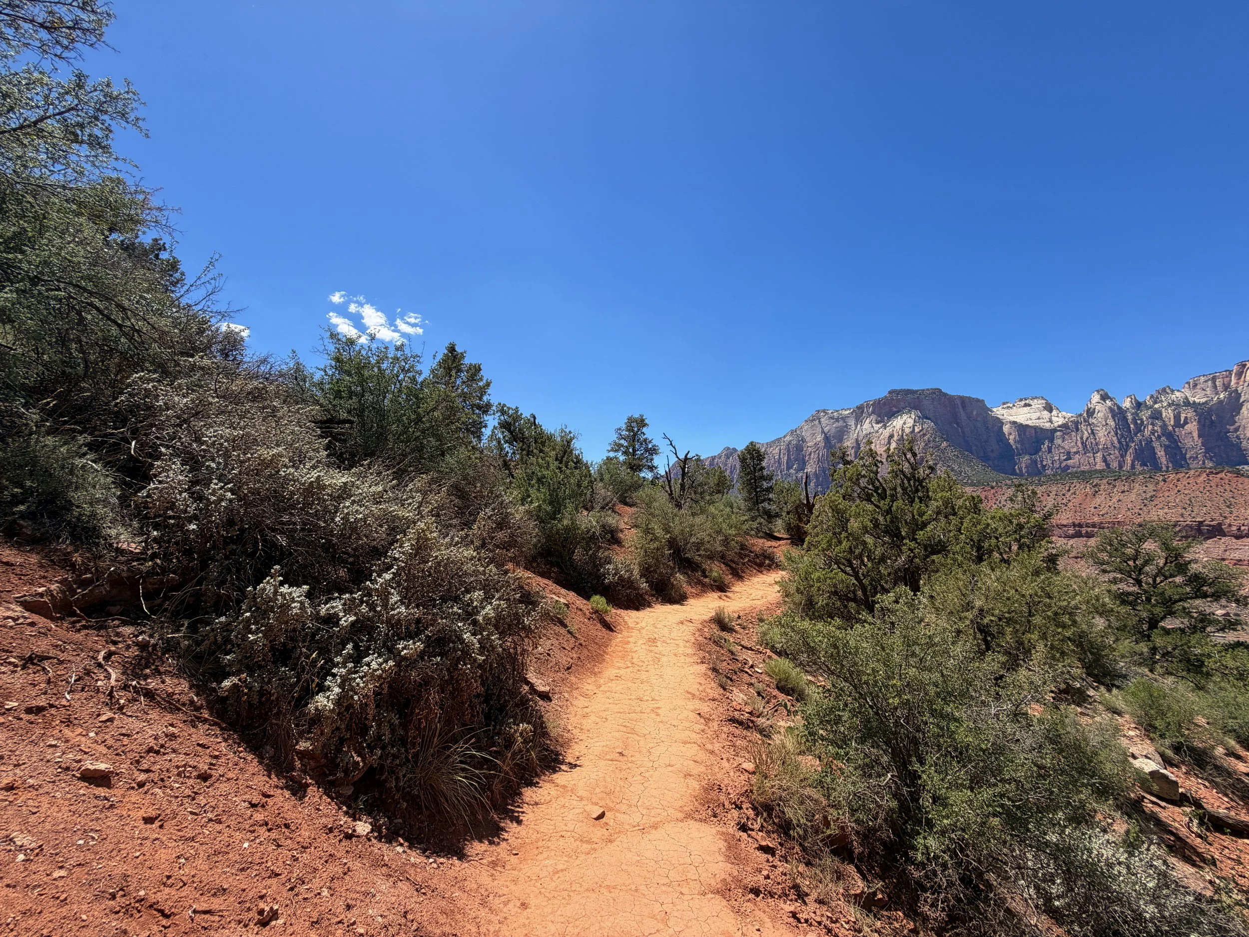 Watchman Trail Zion National Park Utah
