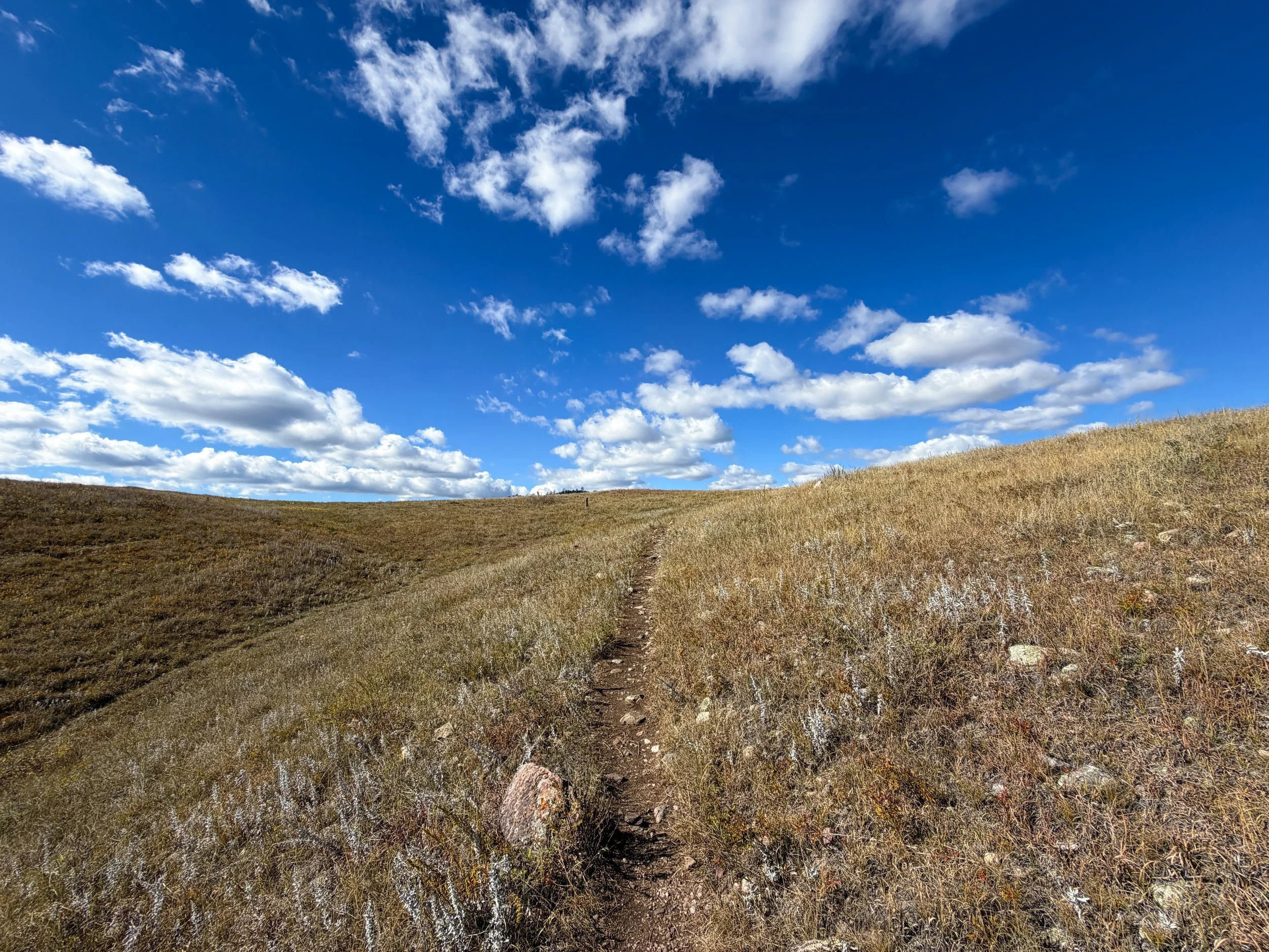 Lookout Point Loop Trail Wind Cave National Park South Dakota