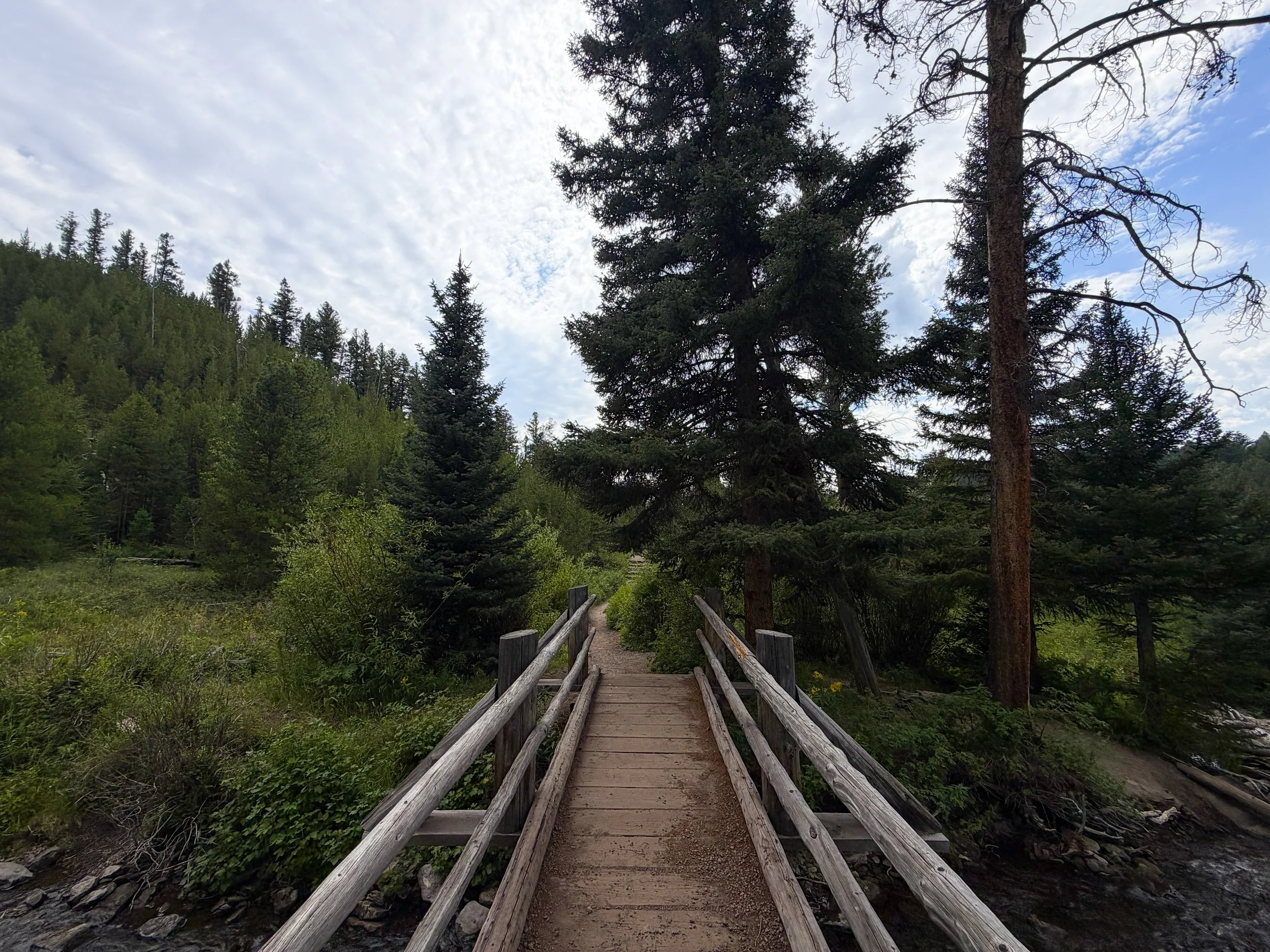 Wraith Falls Trail Yellowstone National Park Wyoming