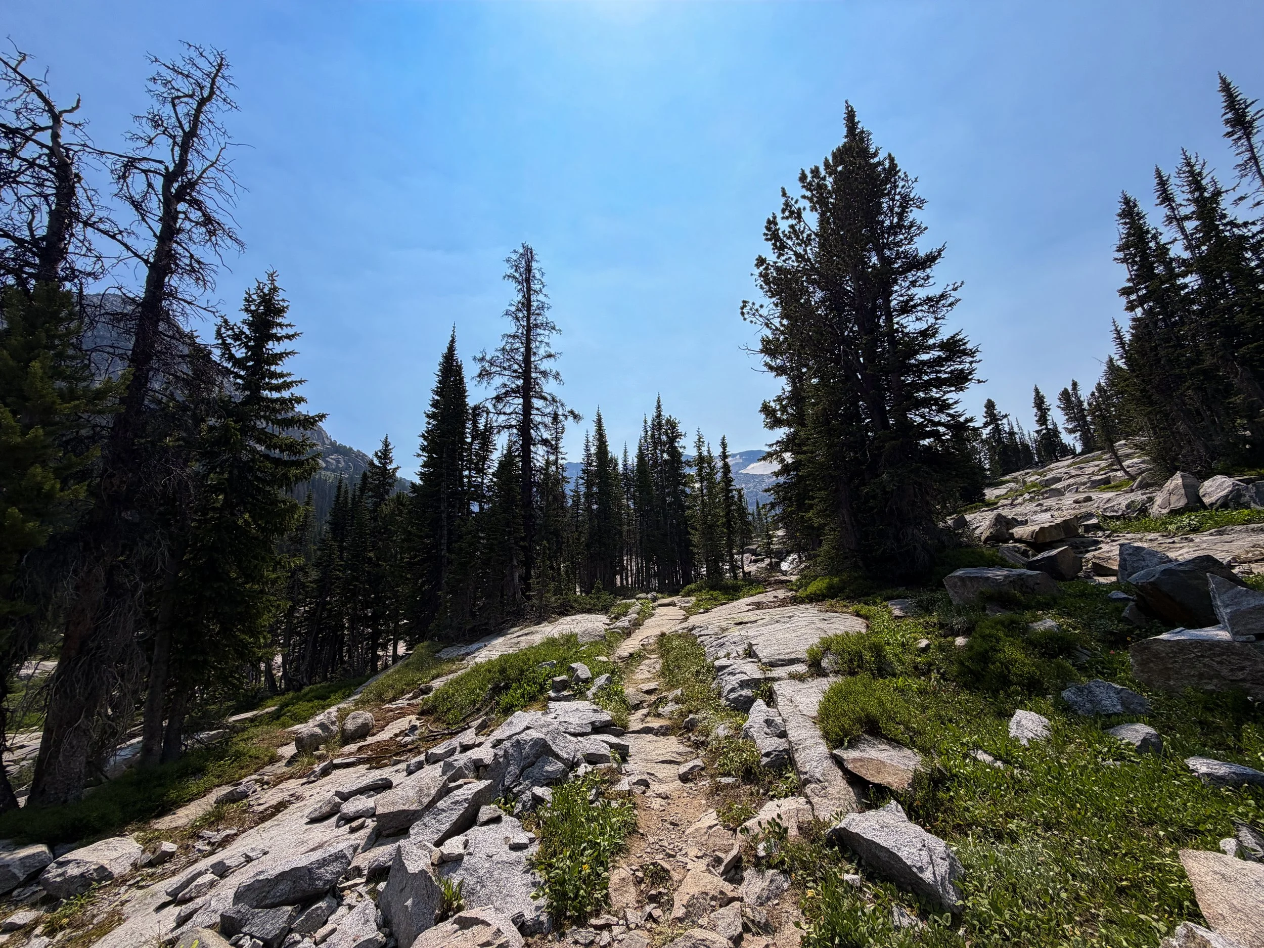 The Beaten Path Trail Beartooth Mountains Montana
