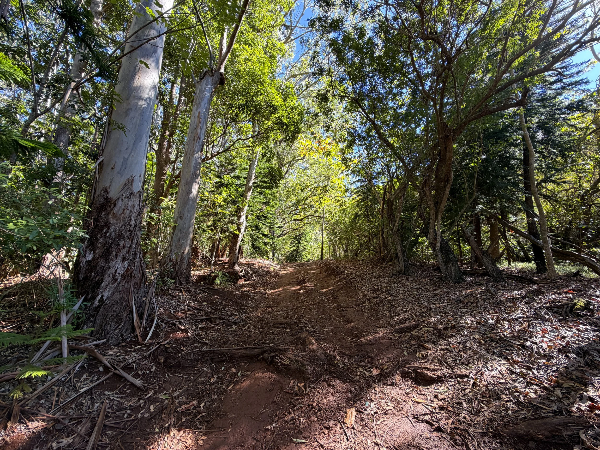 Peacock Flats Campground to Mokuleia Trail Oahu Hawaii
